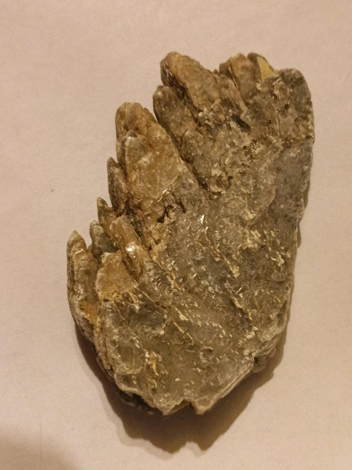 Kauri Gum - Double Springs, Alabama