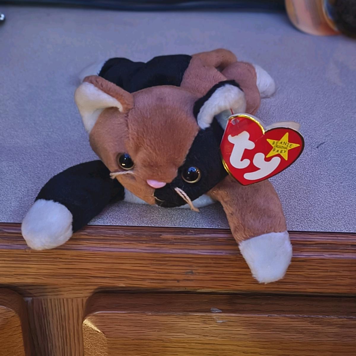 chip with errors 1996 beanie Excellent - Lufkin, Texas - FleaMarketBay