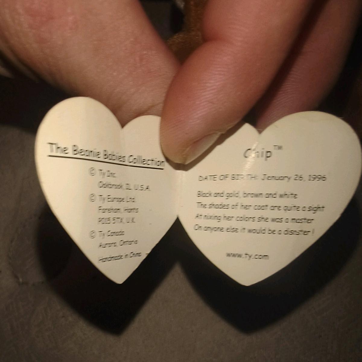 chip with errors 1996 beanie Excellent - Lufkin, Texas - FleaMarketBay