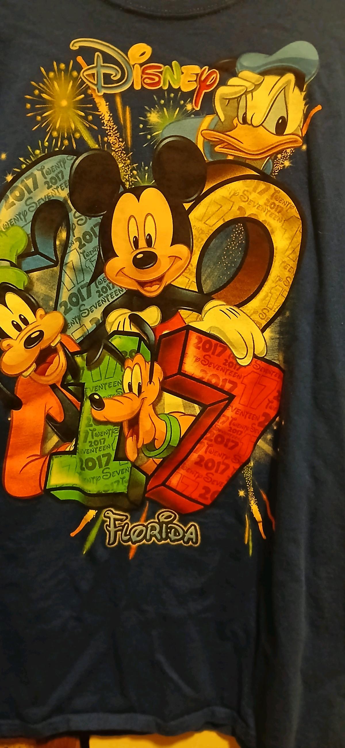 Disney 2017 Florida tshirt - Angie, Louisiana - FleaMarketBay