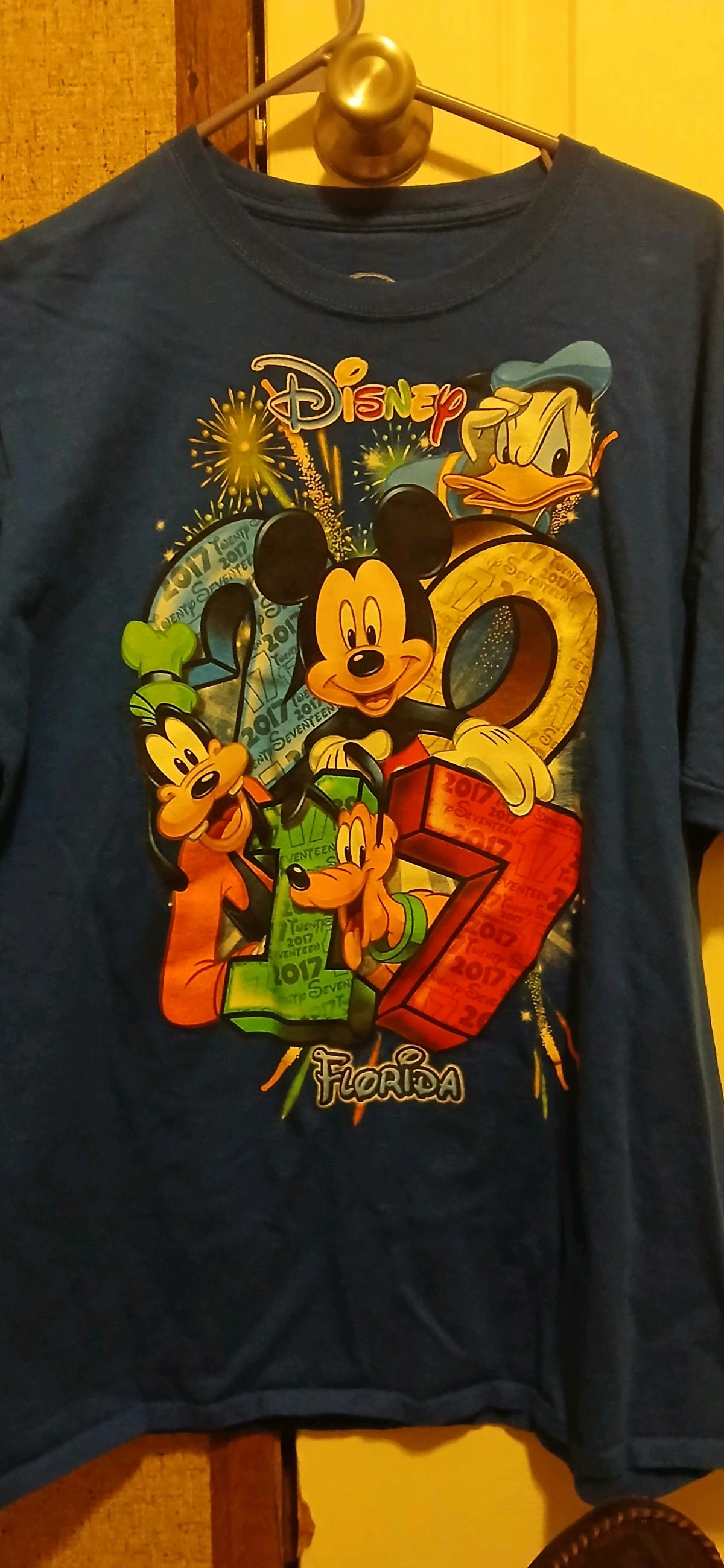 Disney 2017 Florida tshirt - Angie, Louisiana - FleaMarketBay