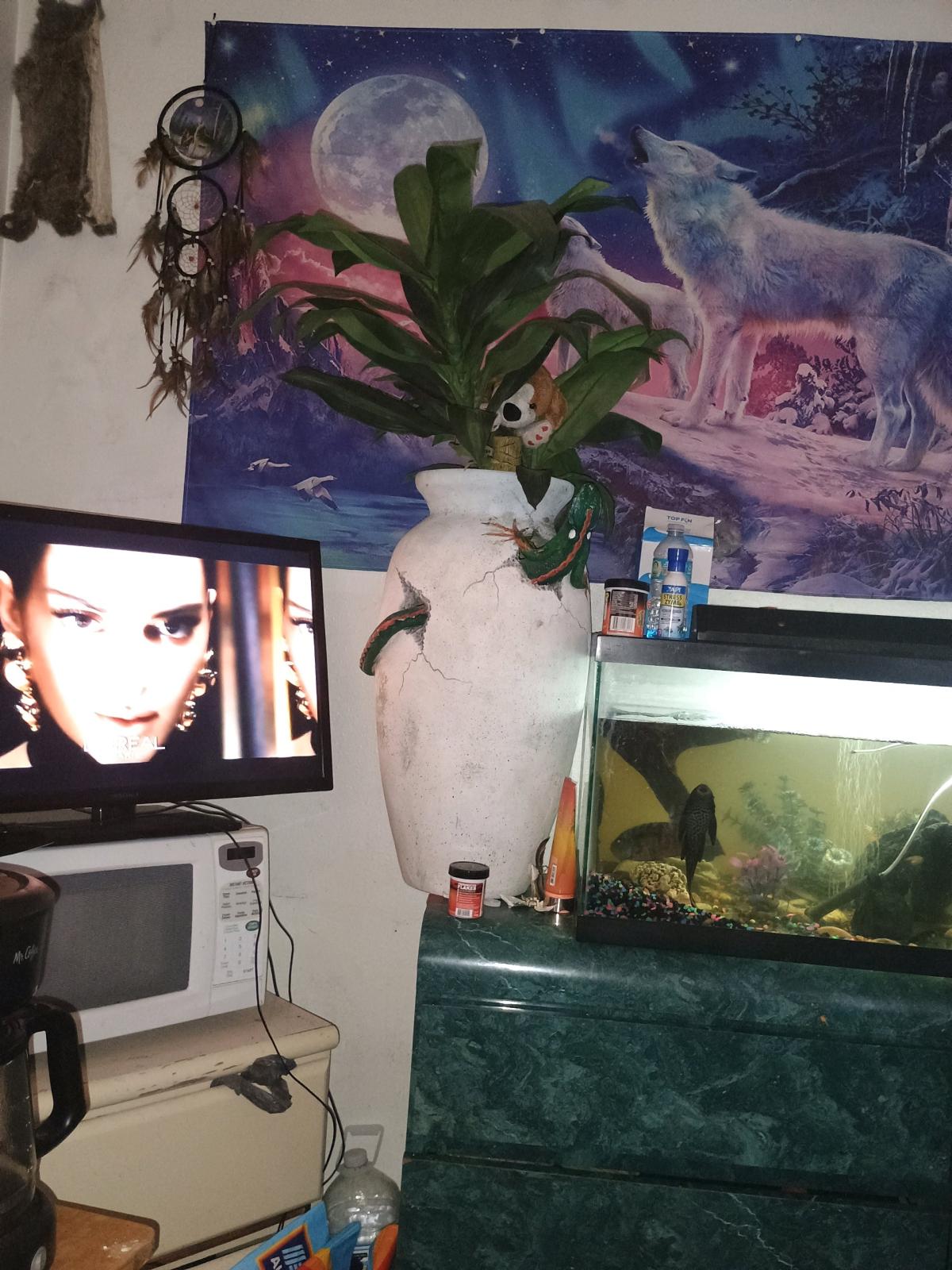 unique terracotta and porcelain decor - Orlando, Florida - FleaMarketBay