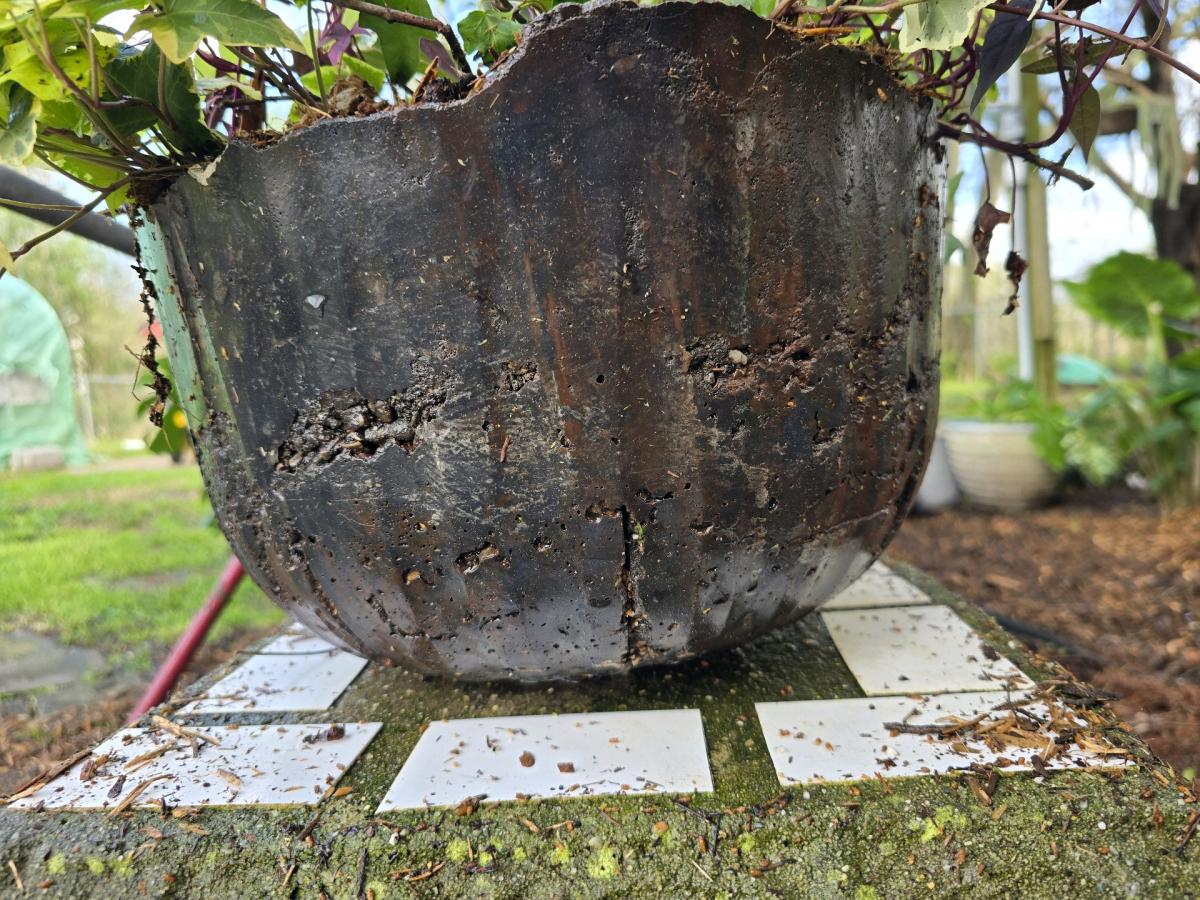 handmade concrete planter