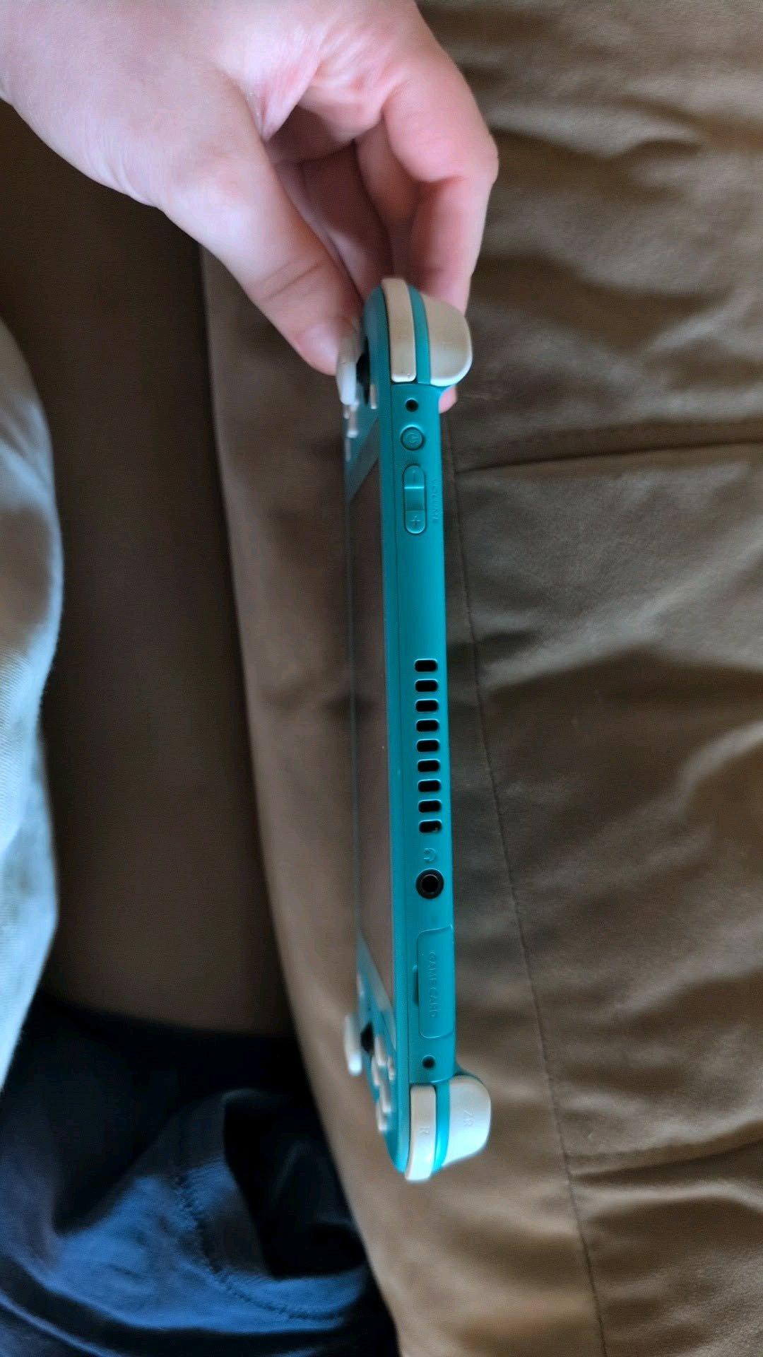 Nintendo Switch Lite - Wadsworth, Ohio - FleaMarketBay