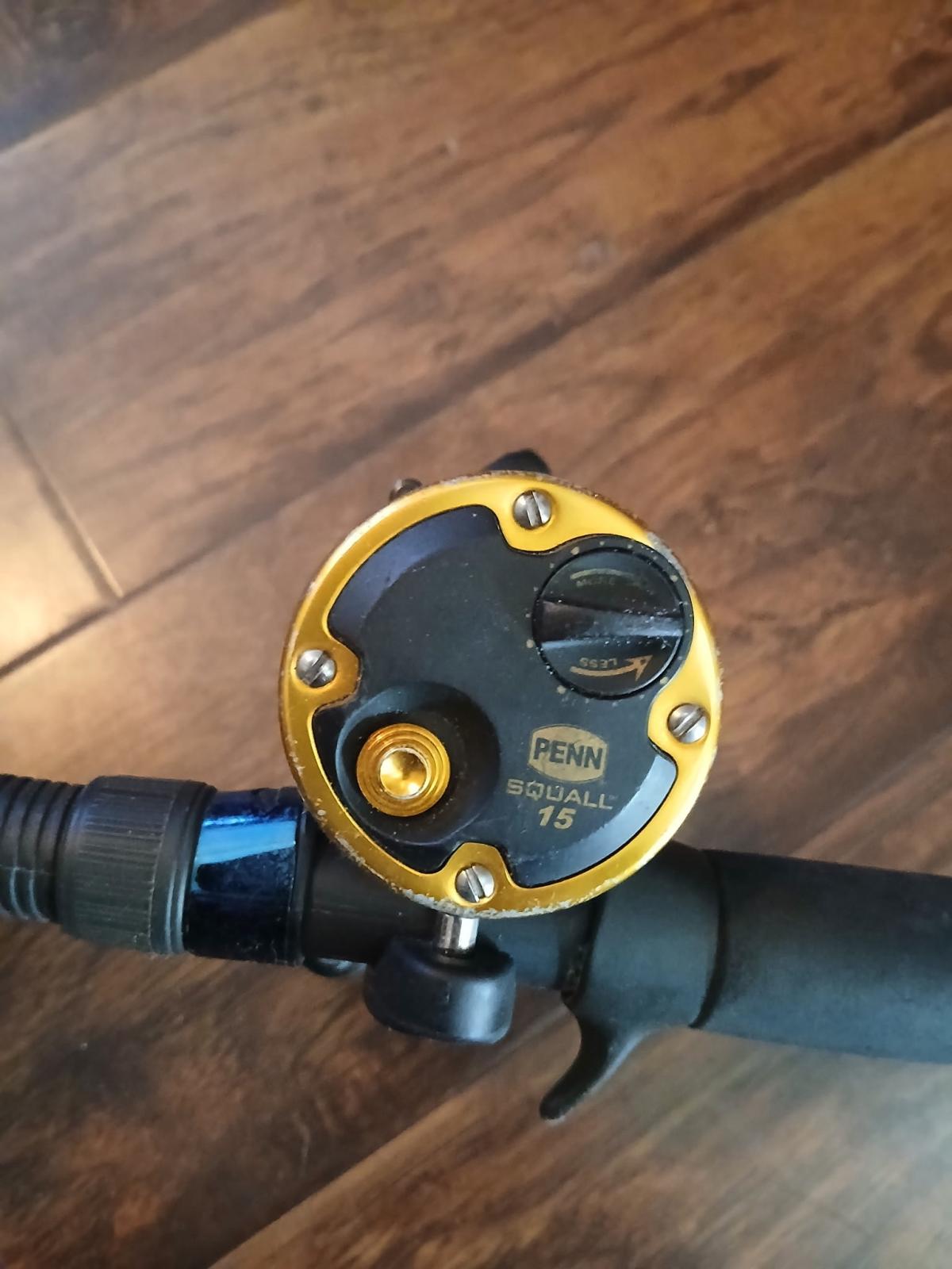 Seeker blue lightning  7097t 20 25 30 and Penn squal 15 in g - Oceanside, California - FleaMarketBay