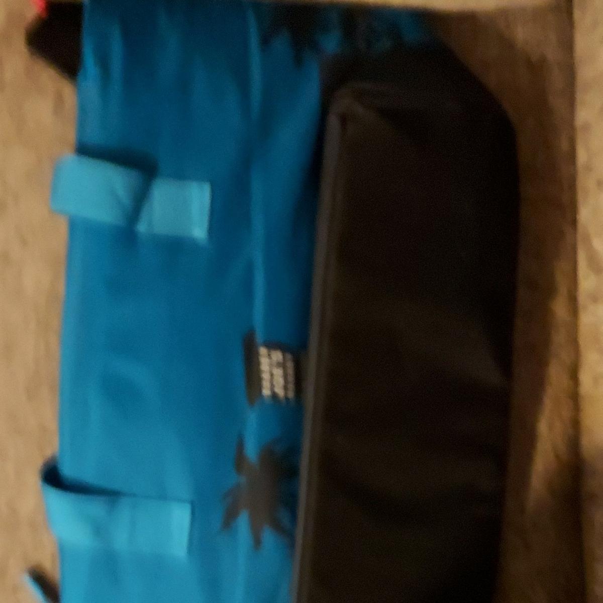 Stone Oven Pizza Insulated Blue Pizza Delivery Bag with Palm - Tucson, Arizona - FleaMarketBay