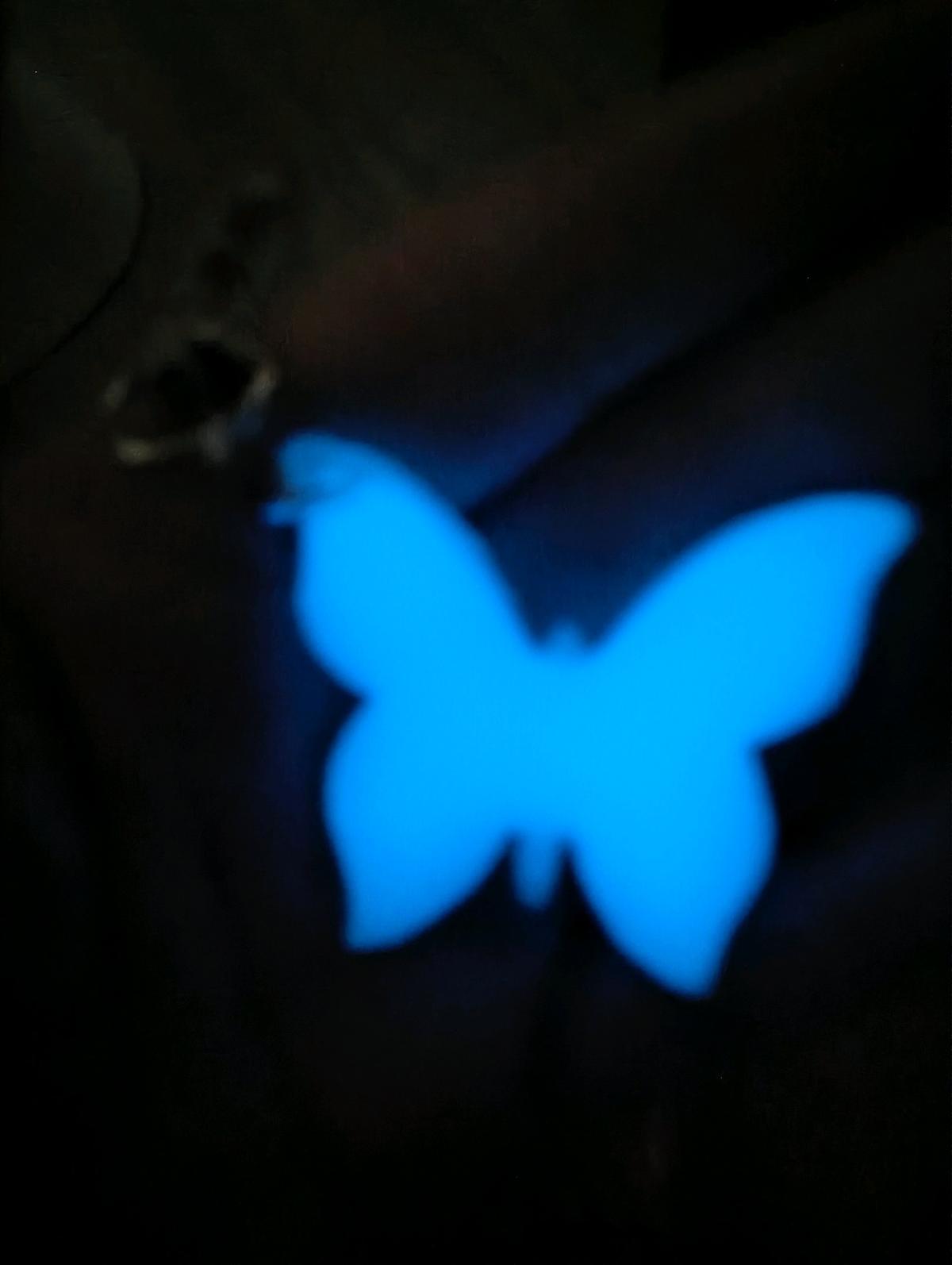 Glow in the dark butterfly keychain