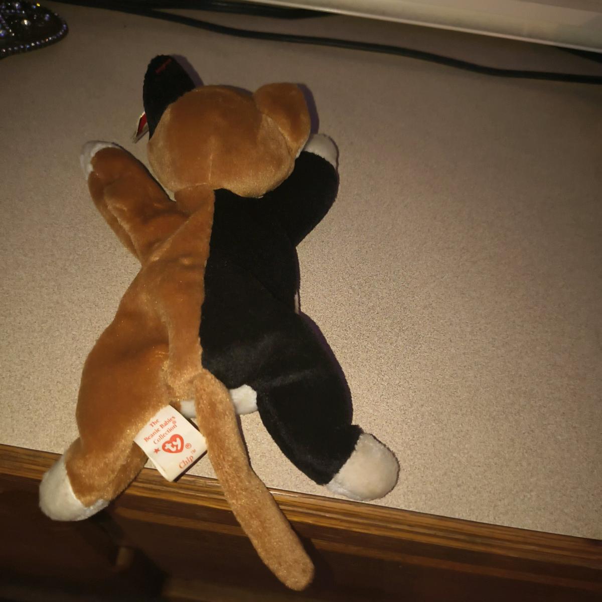 chip with errors 1996 beanie Excellent - Lufkin, Texas - FleaMarketBay