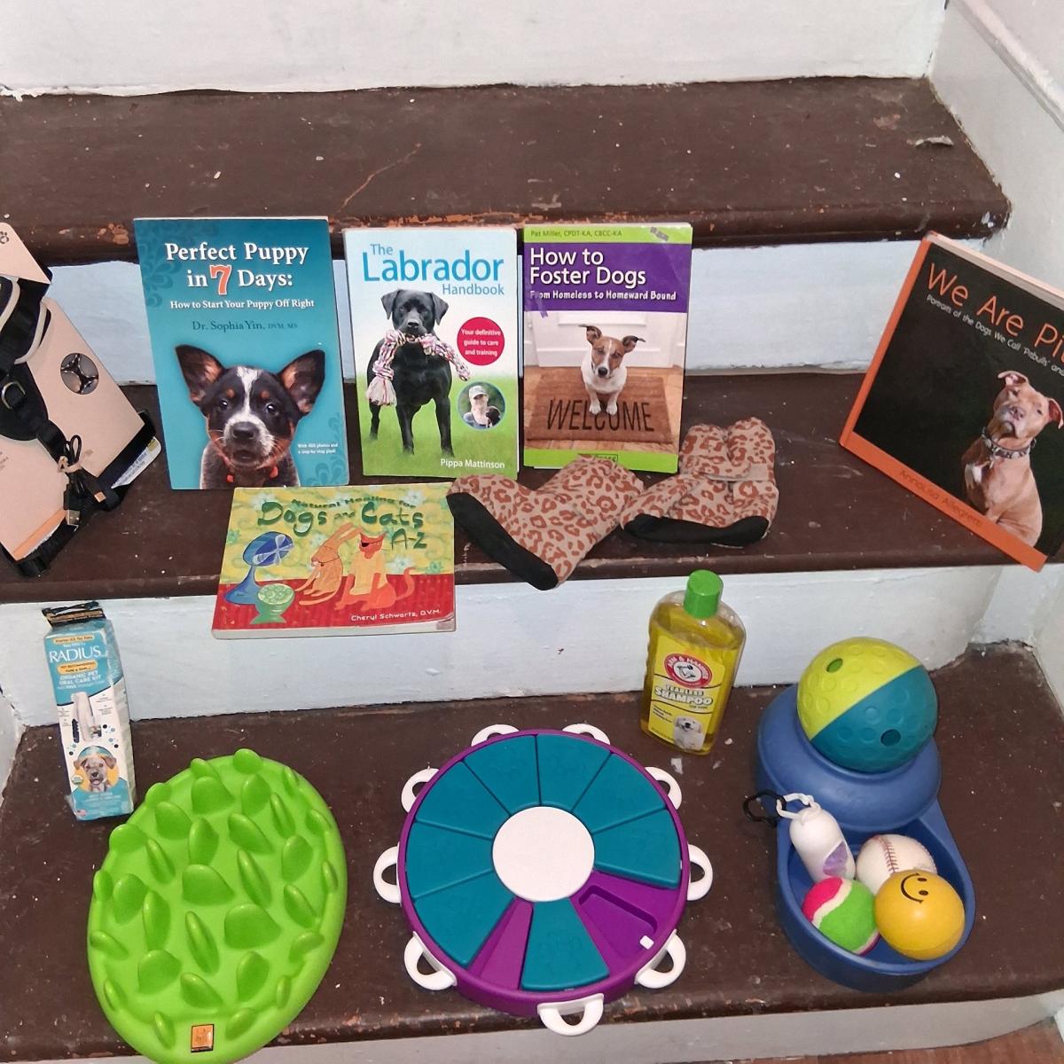 Complete Small Dog Starter Bundle  21 Crate LED Harness Pet - Philadelphia, Pennsylvania - FleaMarketBay