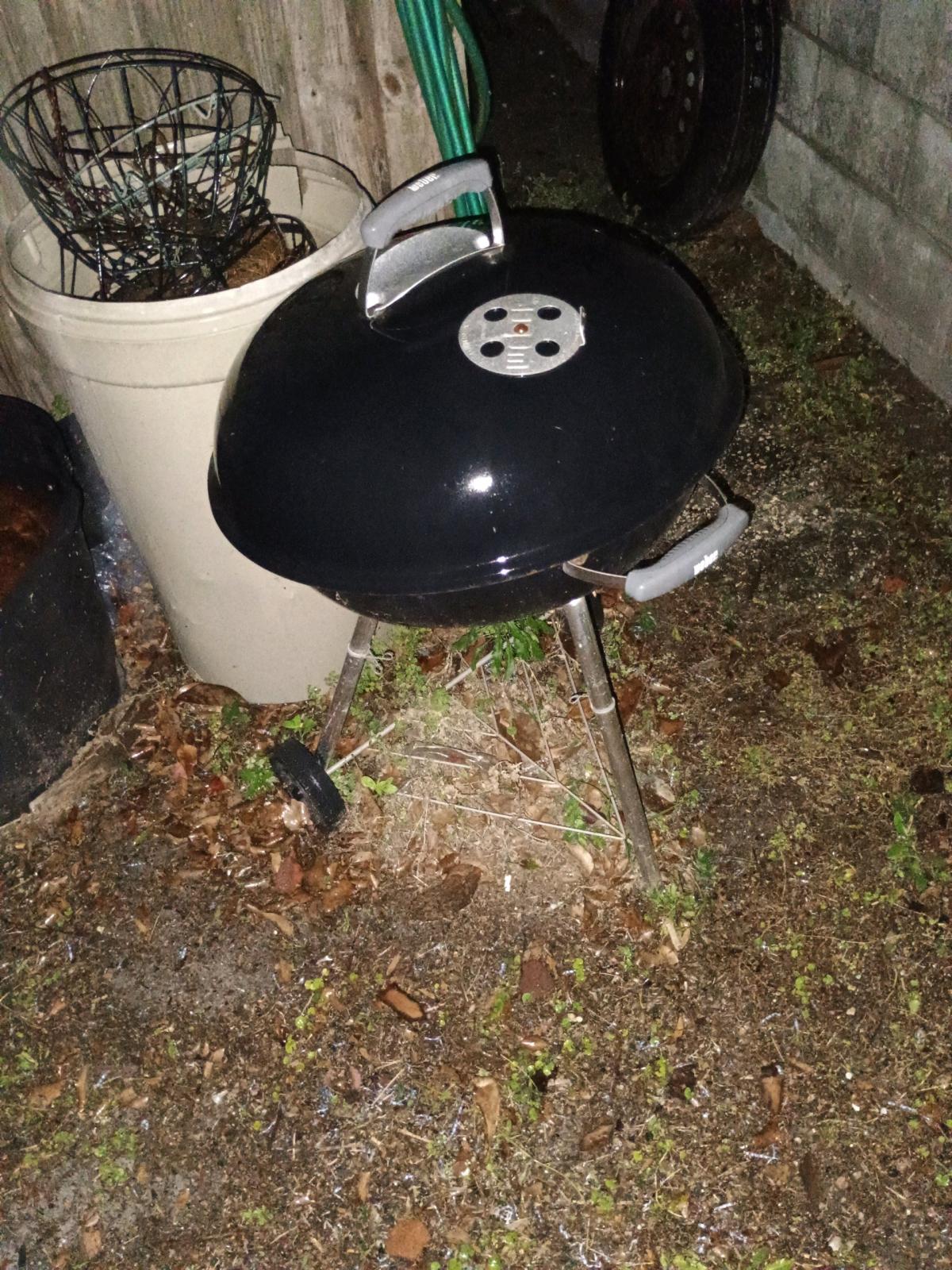 yard landscape decor