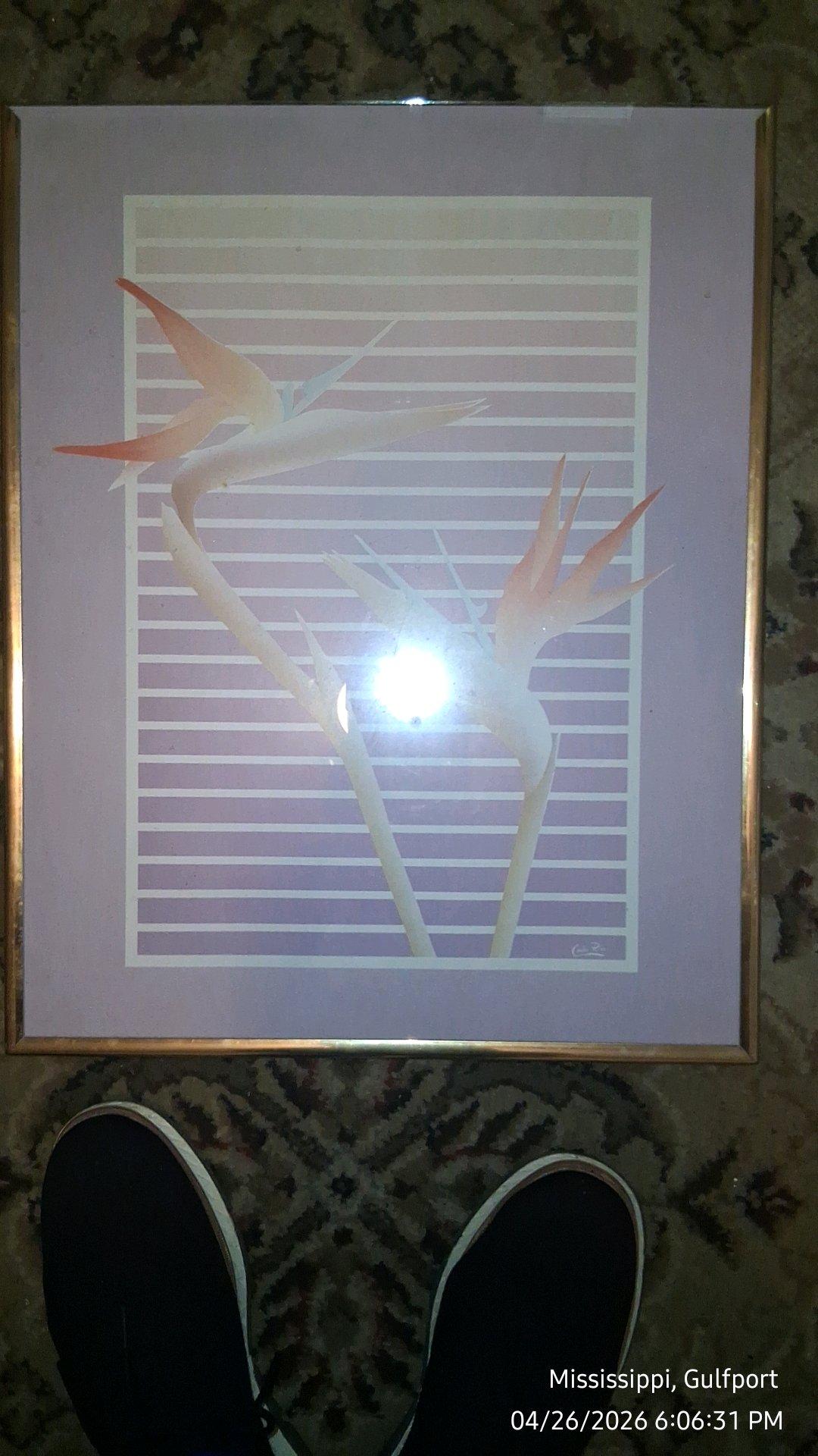 One large picture and four medium pictures in picture frames - Gulfport, Mississippi - FleaMarketBay