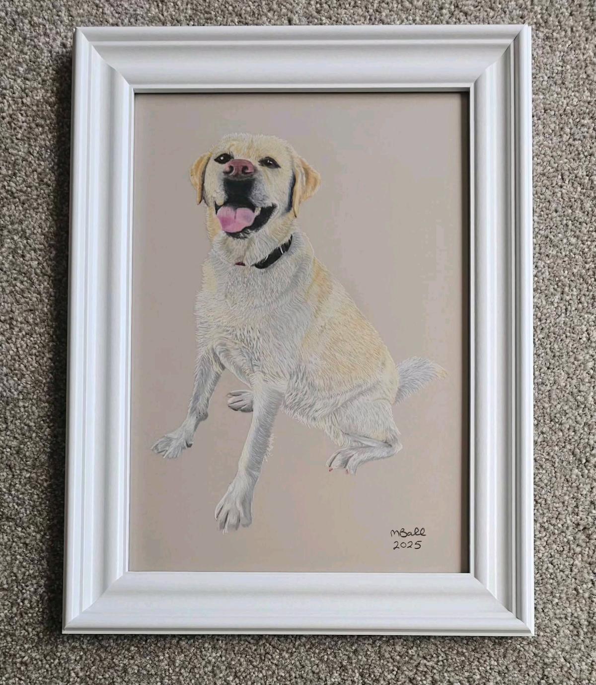 custom pets portraits - Austin, Texas - FleaMarketBay