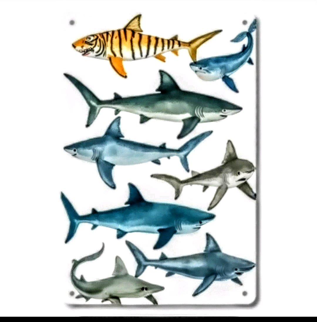 Metal Wall Art with Sharks - Palm Bay, Florida - FleaMarketBay