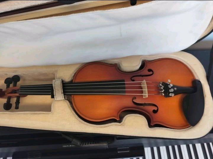 Viola - Baton Rouge, Louisiana - FleaMarketBay