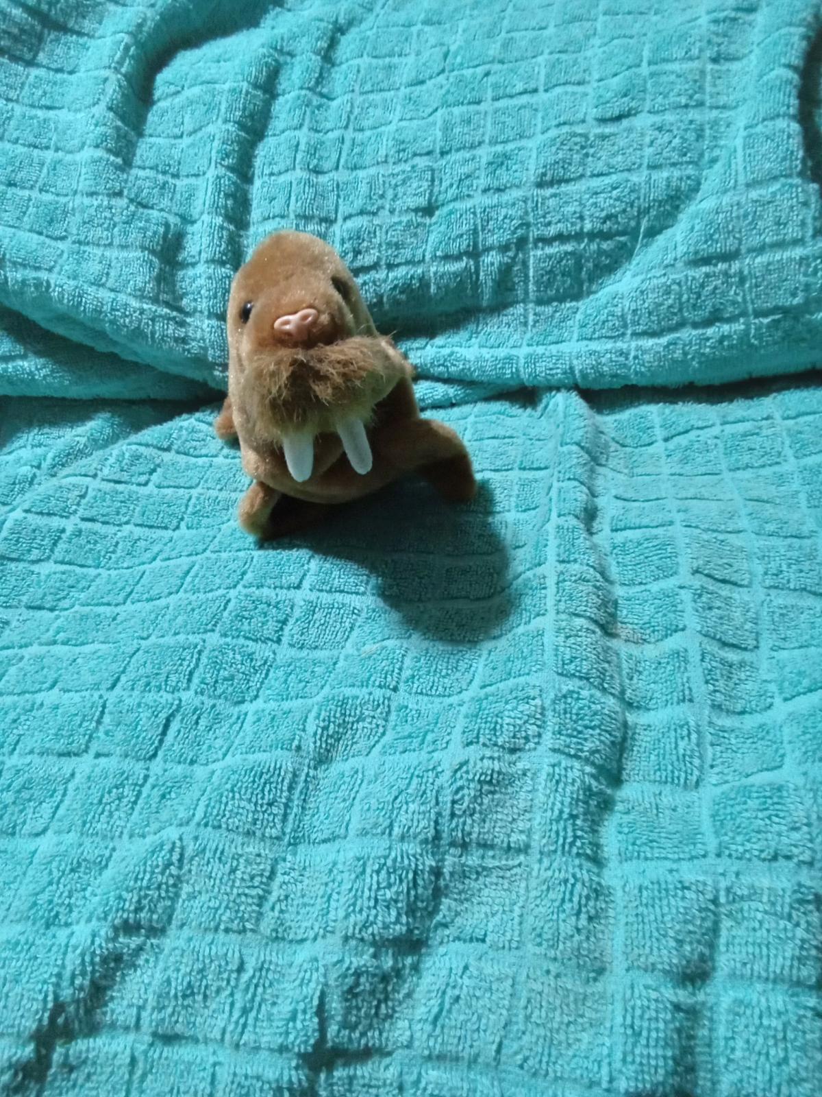 beanie babies - San Antonio, Texas - FleaMarketBay