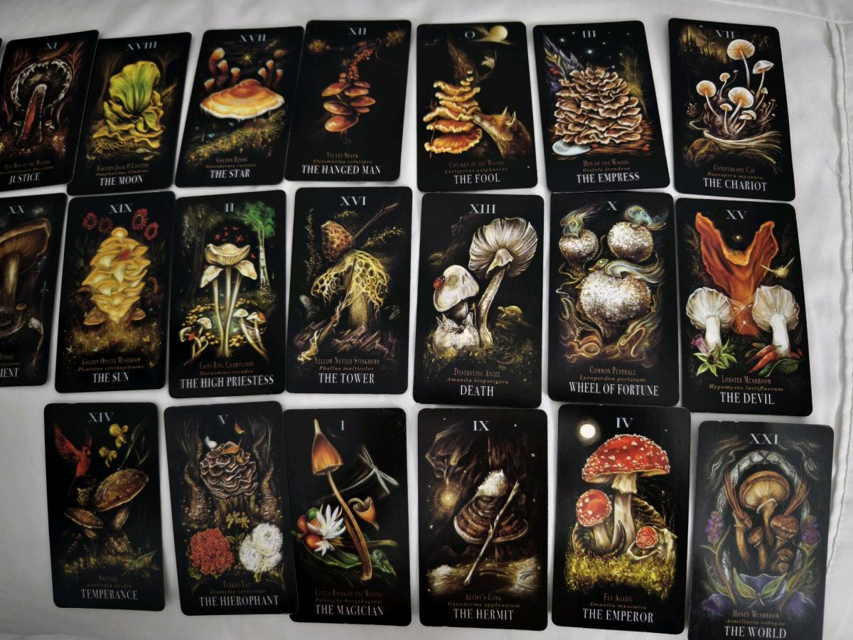 Mushroom Tarot deck by Midnight Magic - Rosemead, California - FleaMarketBay