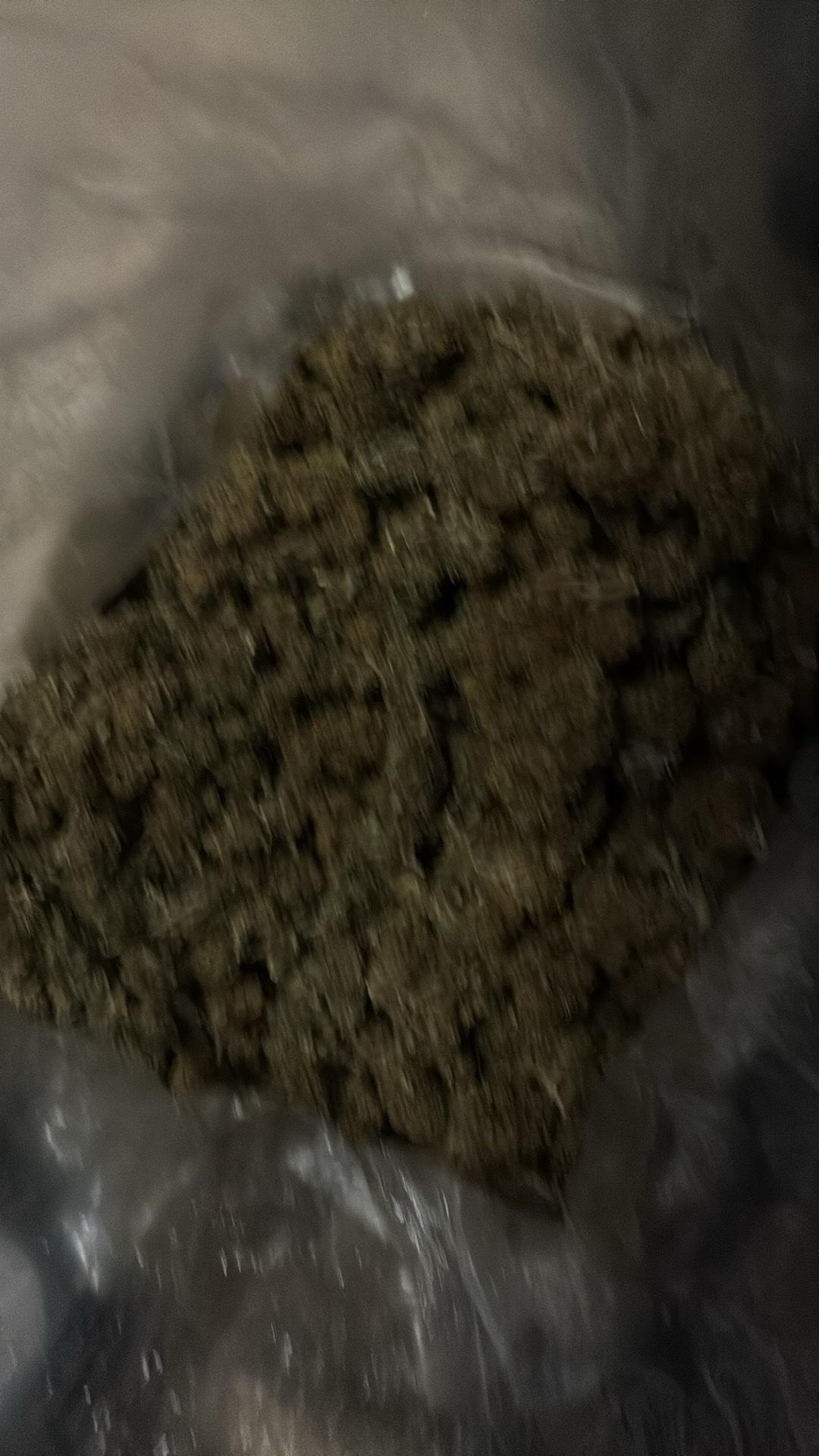 lmk I got seeds and all that just hmu - Bakersfield, California - FleaMarketBay