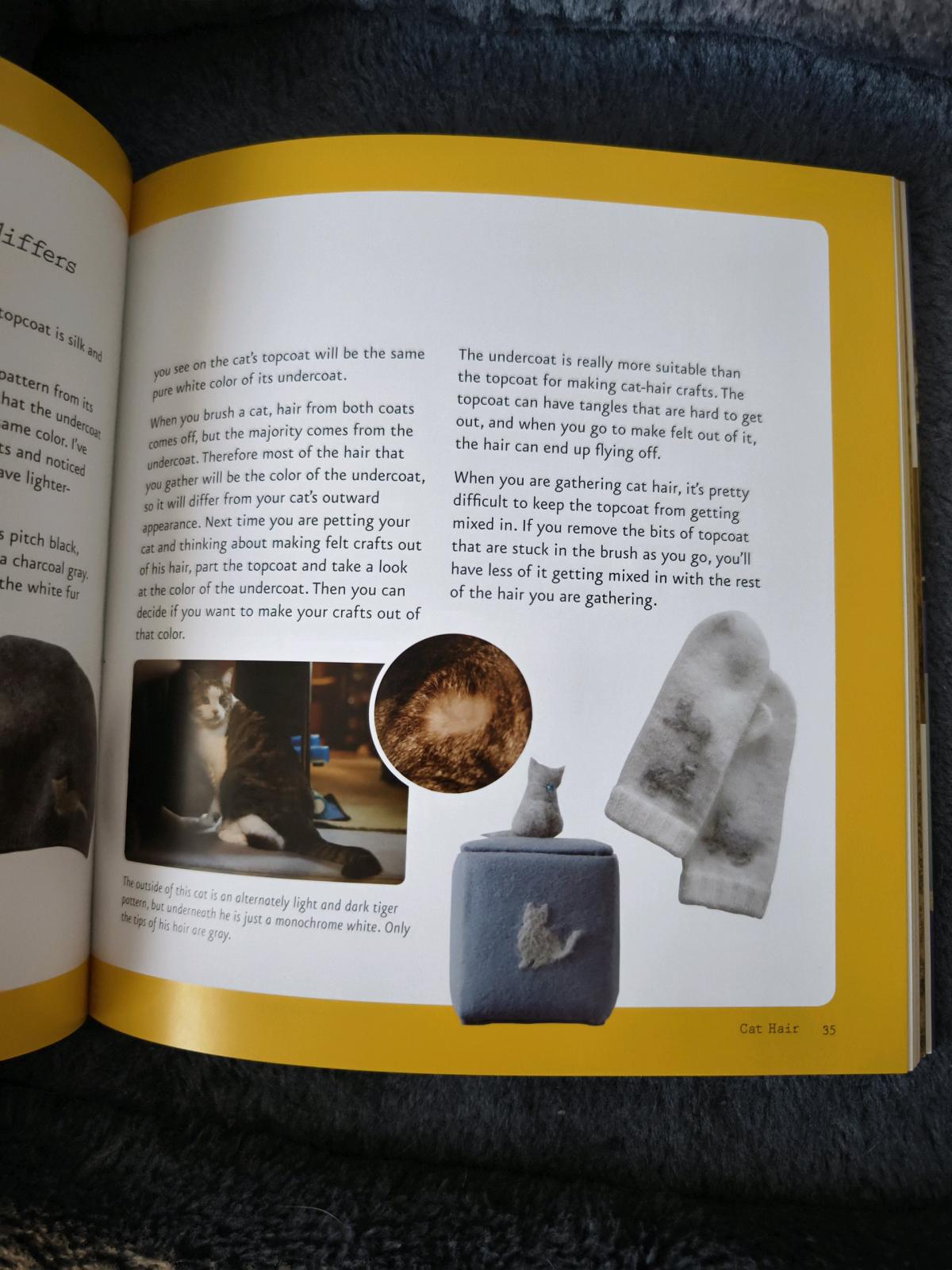 Crafting with cat hair book - Rosemead, California - FleaMarketBay