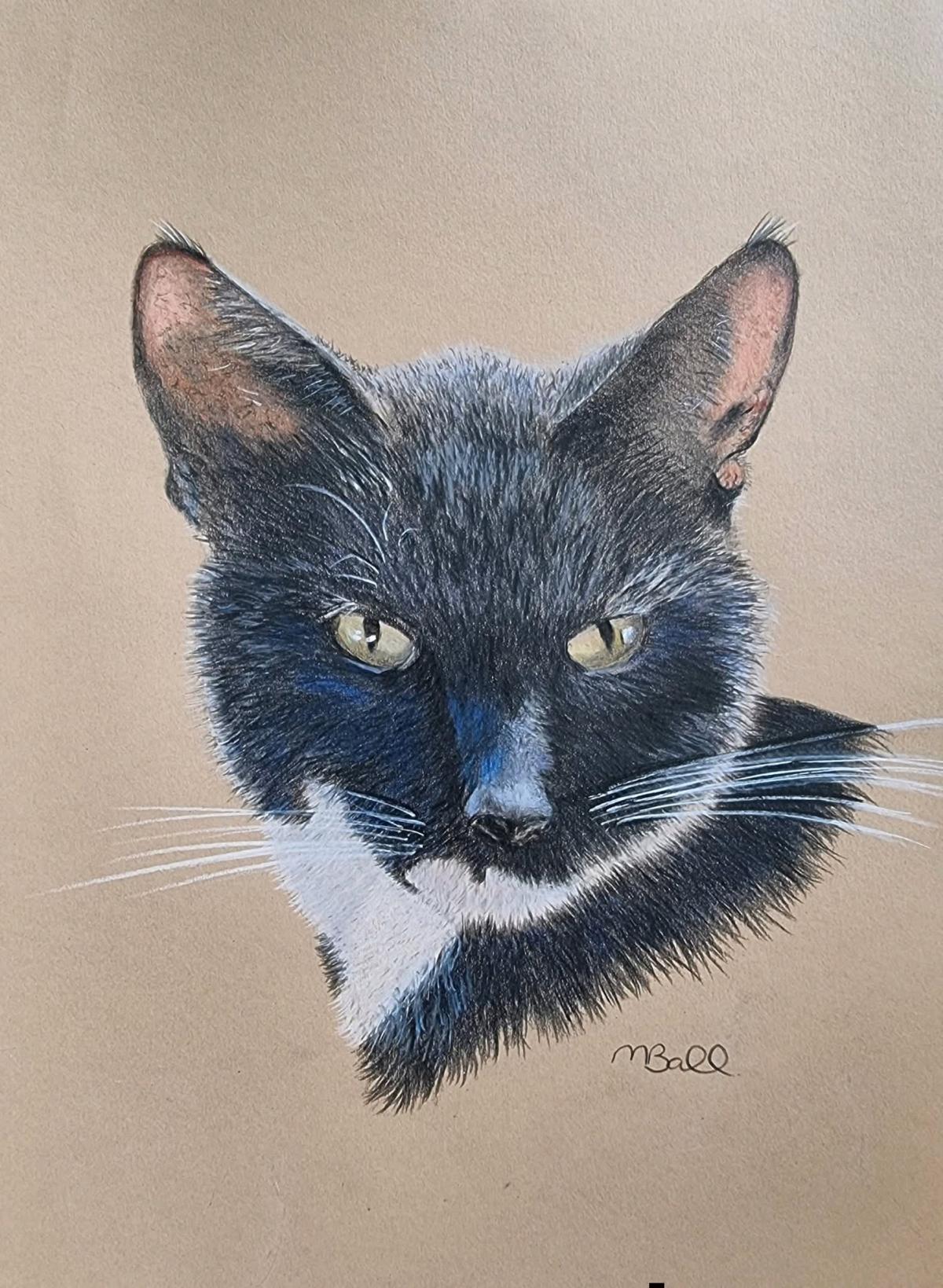 custom pets portraits - Austin, Texas - FleaMarketBay
