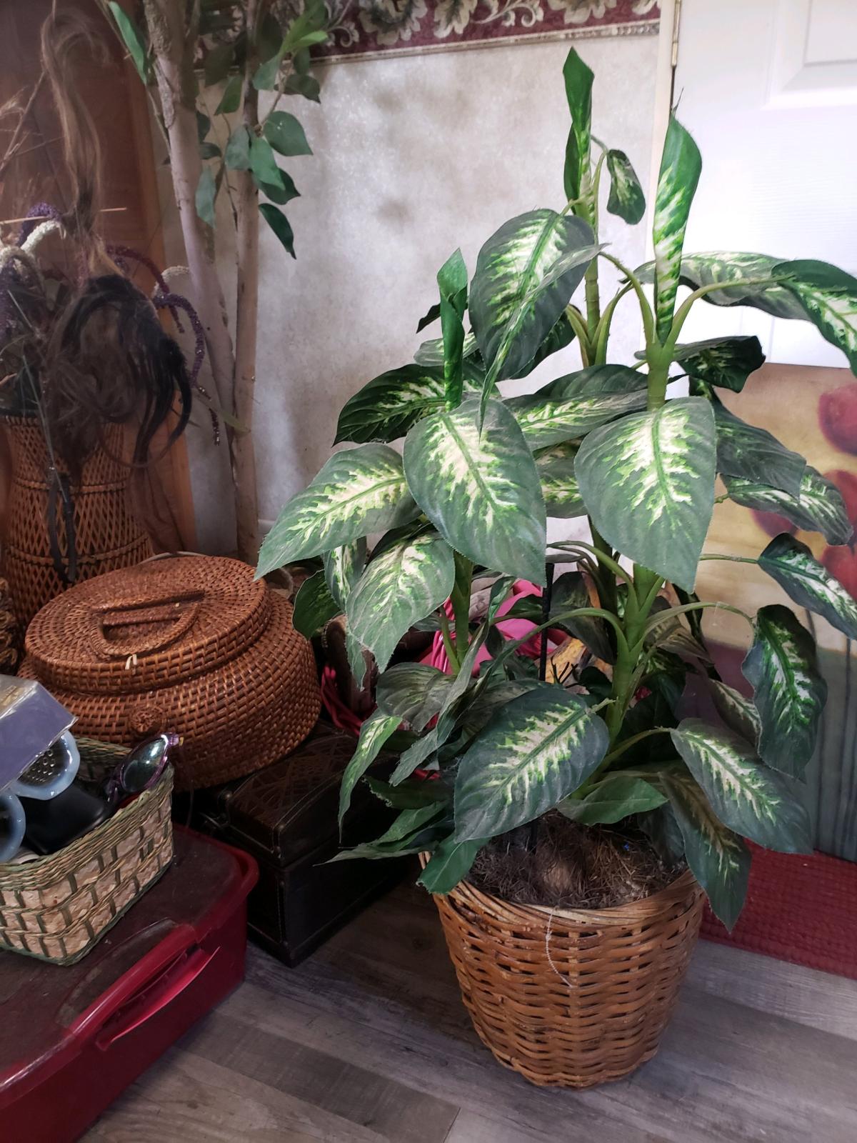 household item fake plants picture etc - Juneau, Wisconsin - FleaMarketBay