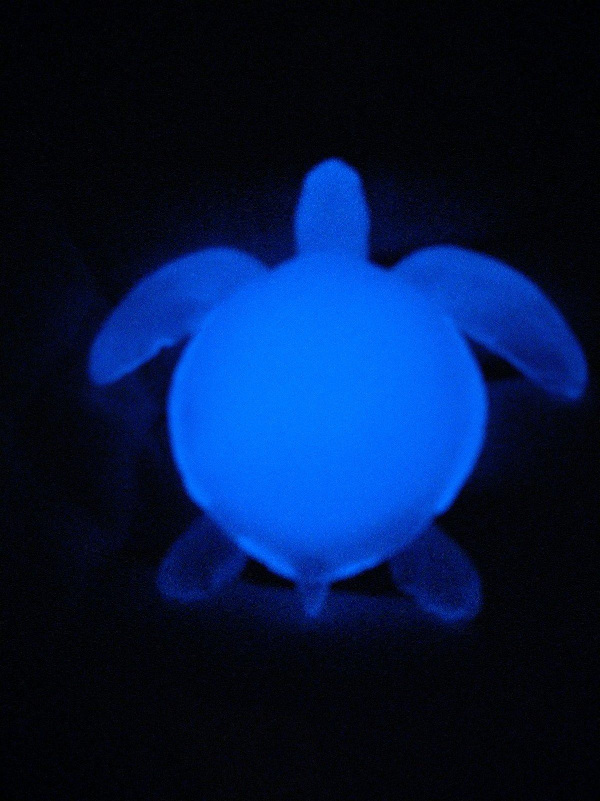 Glow in the Dark turtle magnet - Bogalusa, Louisiana - FleaMarketBay