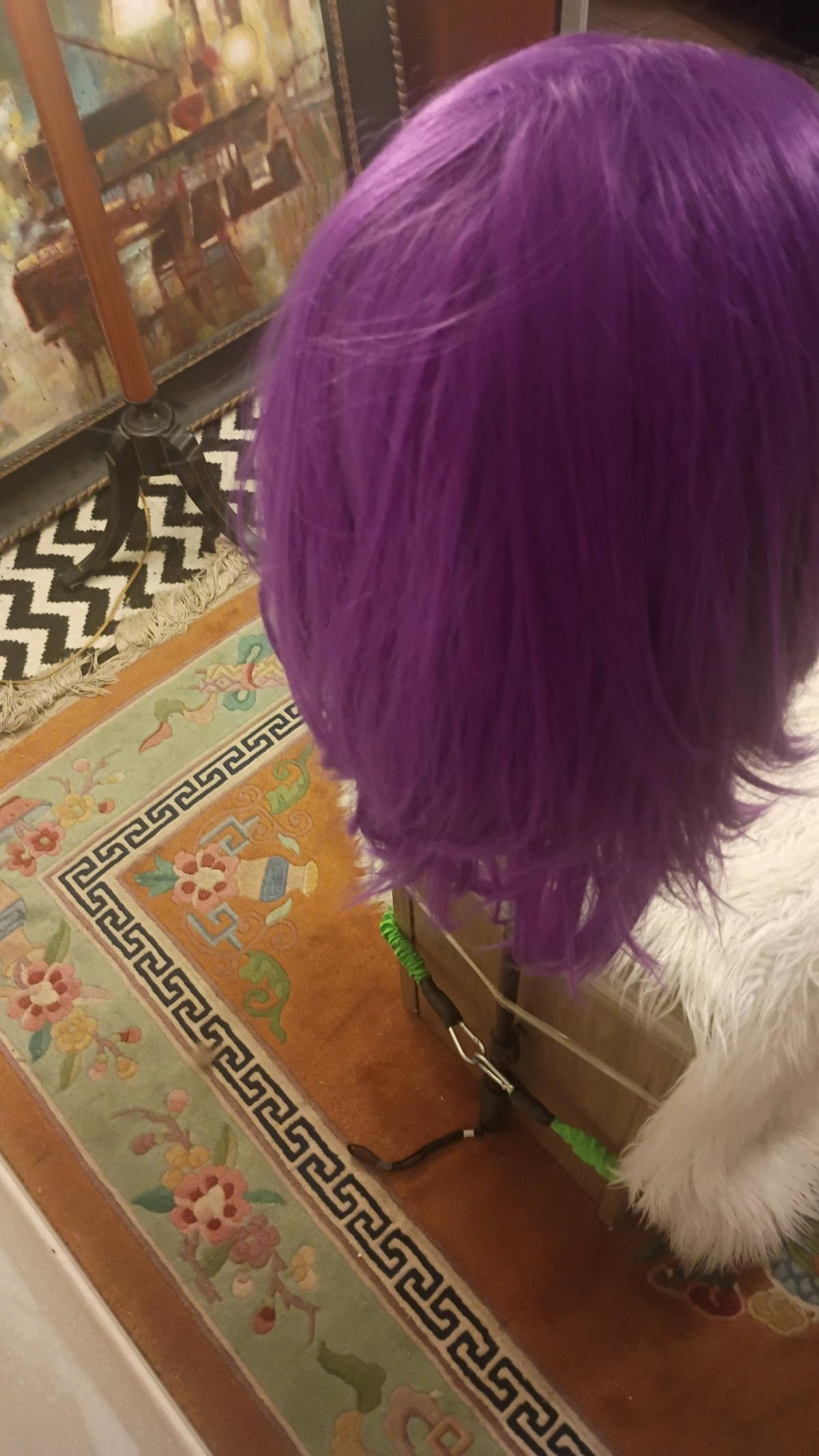 purple wig - Houston, Texas - FleaMarketBay