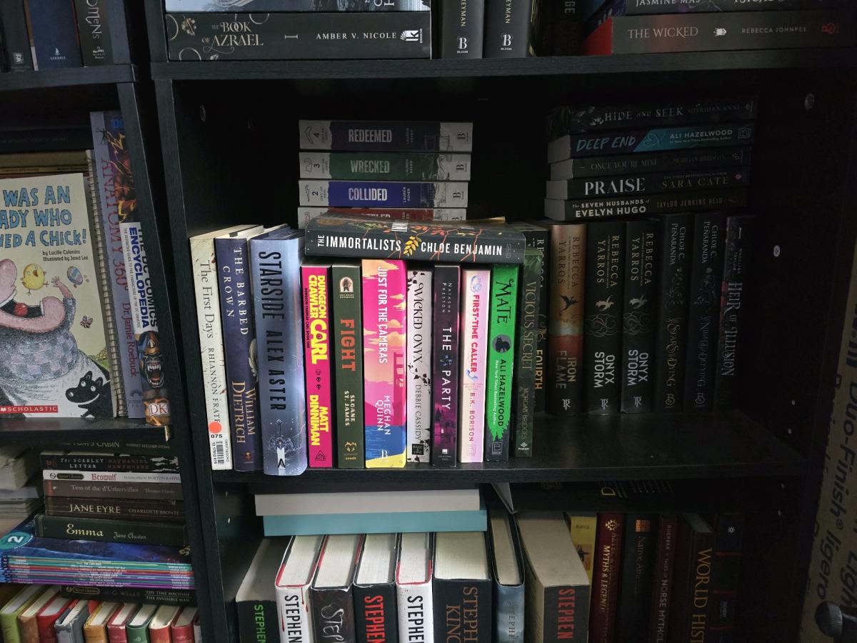 books any you see let me know the name 10 for the paper back - Hudson, Florida - FleaMarketBay