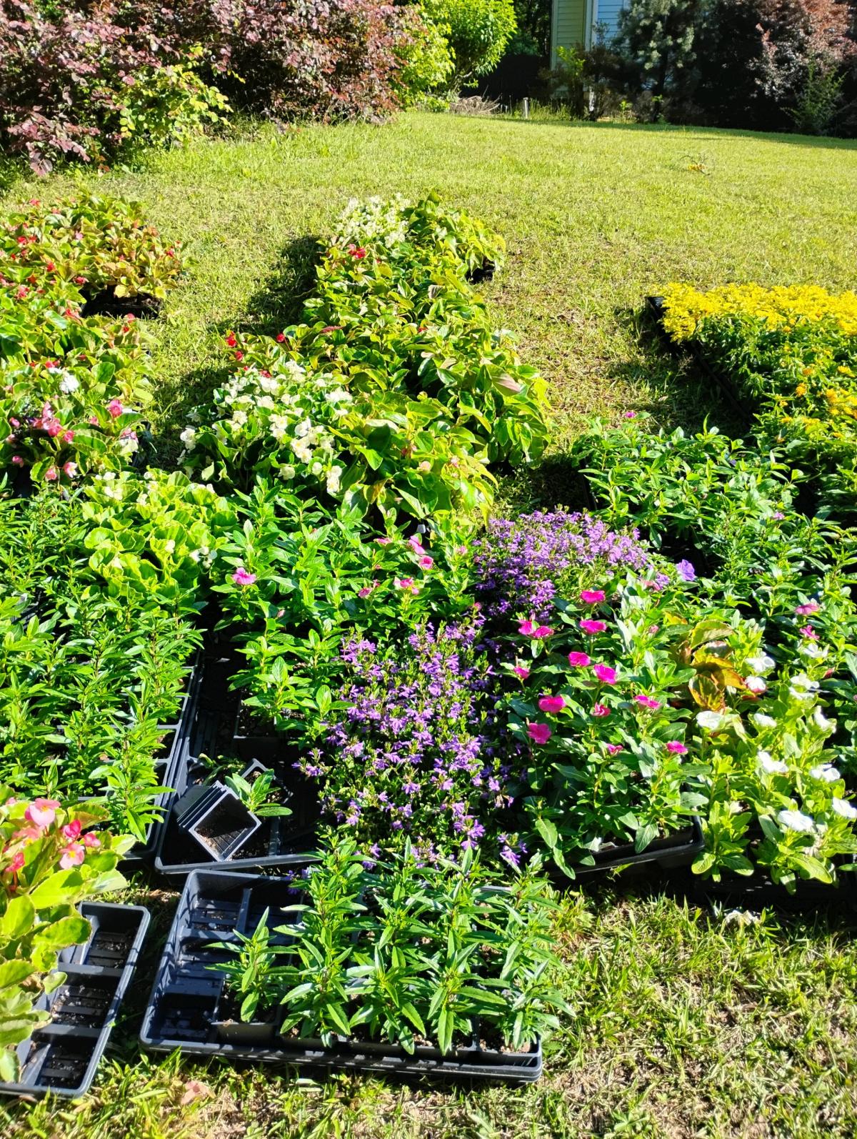 Seasonal Flats 18 per flat Mix and Match - Acworth, Georgia - FleaMarketBay