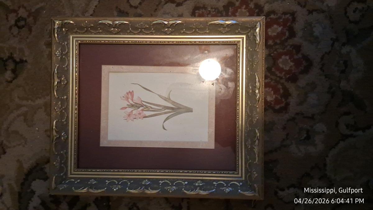 One large picture and four medium pictures in picture frames - Gulfport, Mississippi - FleaMarketBay
