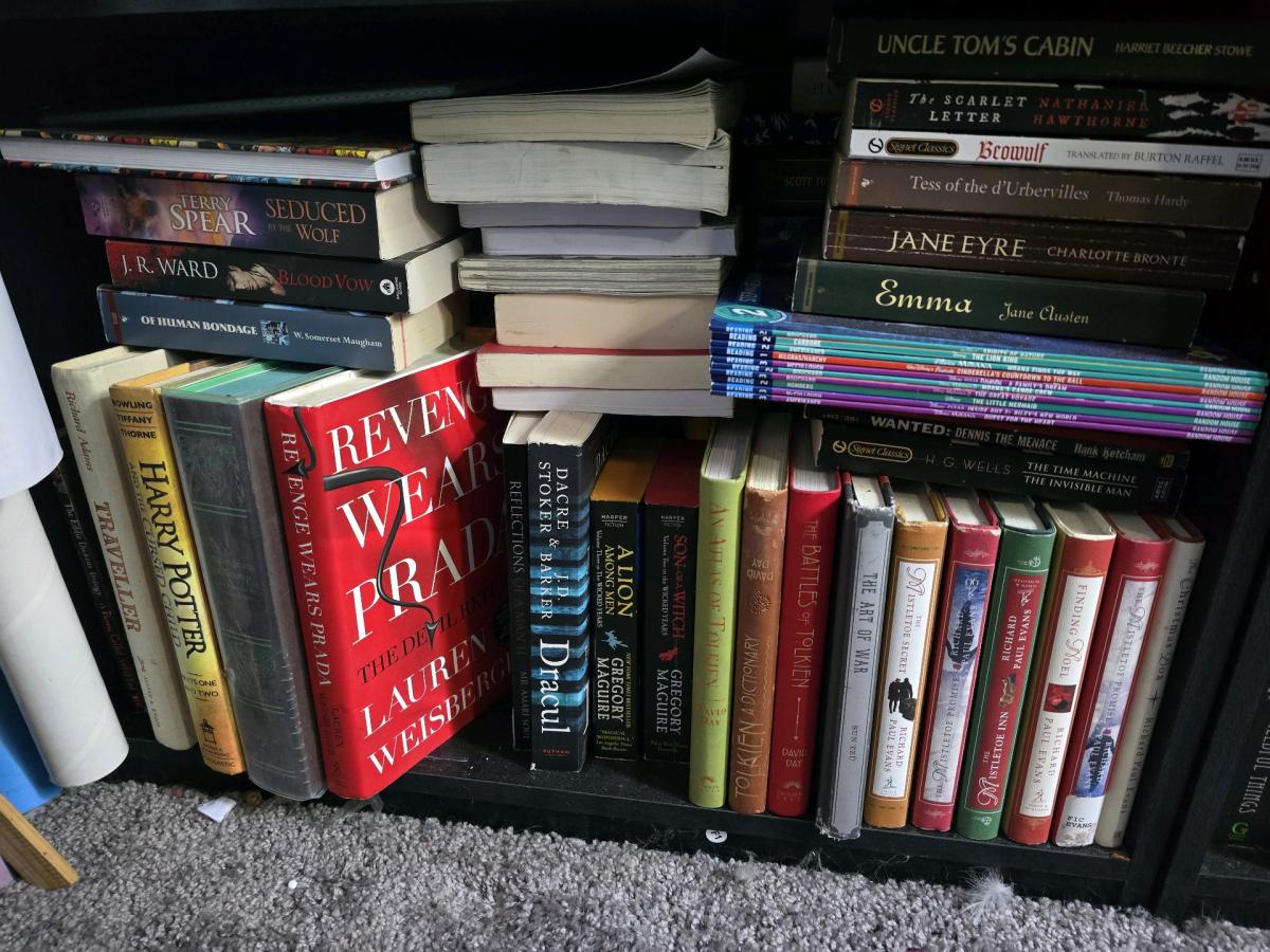 books any you see let me know the name 10 for the paper back - Hudson, Florida - FleaMarketBay