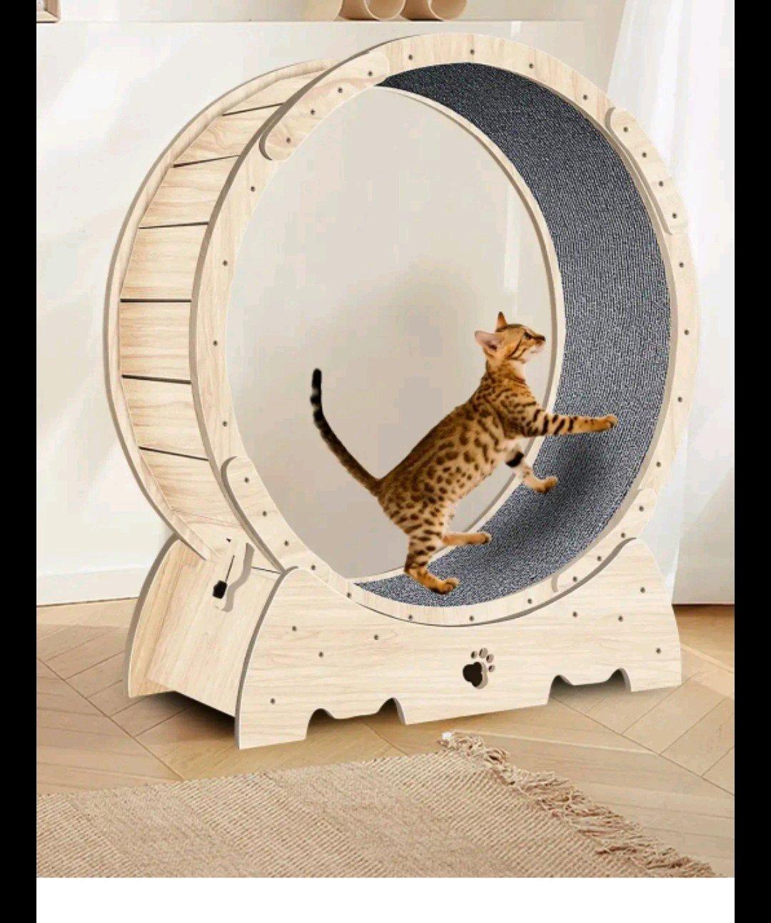 Large 413 Wooden Cat Exercise Wheel Cat Treadmill Cat Runnin - Brooklyn, New York - FleaMarketBay