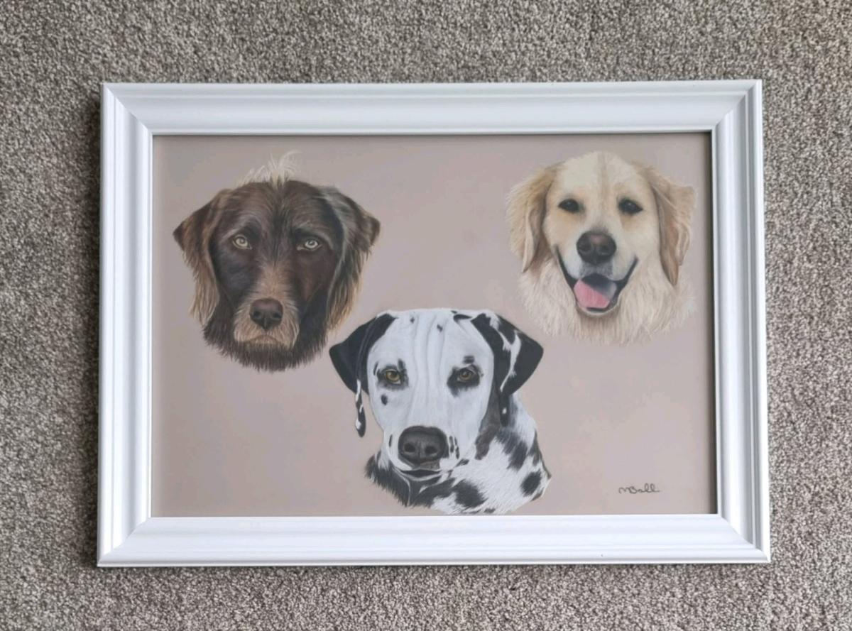 custom pets portraits - Austin, Texas - FleaMarketBay