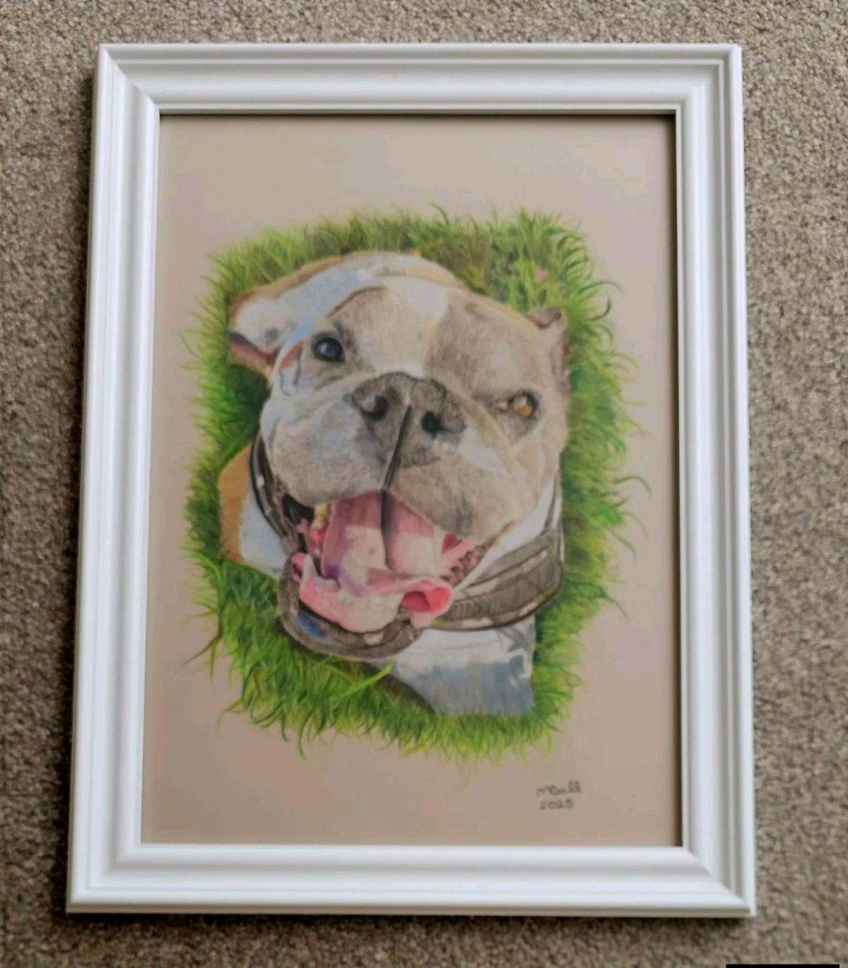 custom pets portraits - Austin, Texas - FleaMarketBay