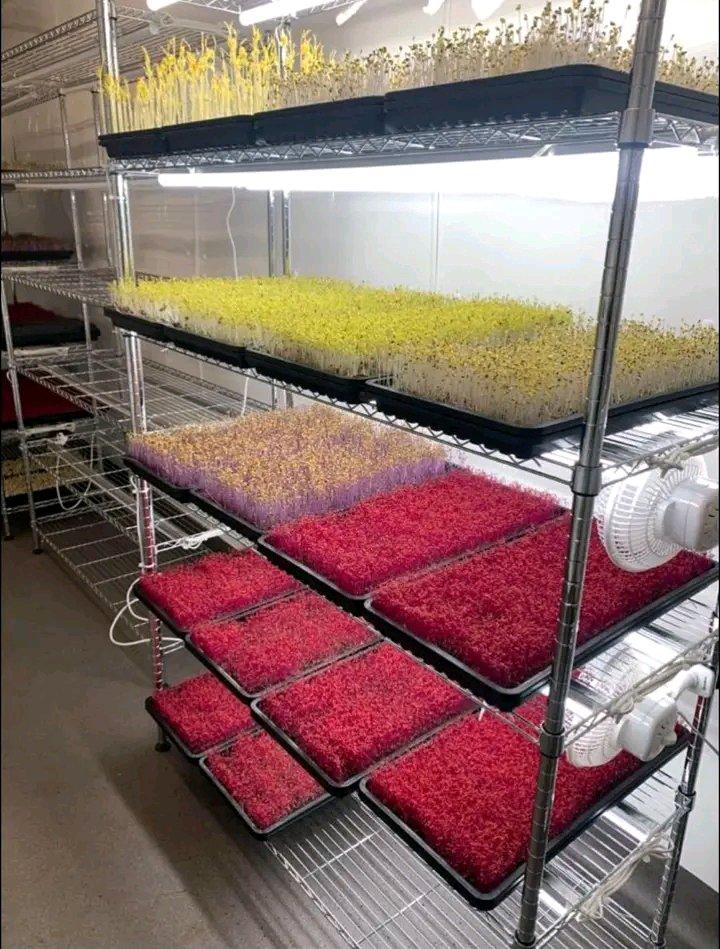 Fully Fitted 20ft Commercial Container Unit For Sale - Austin, Texas - FleaMarketBay