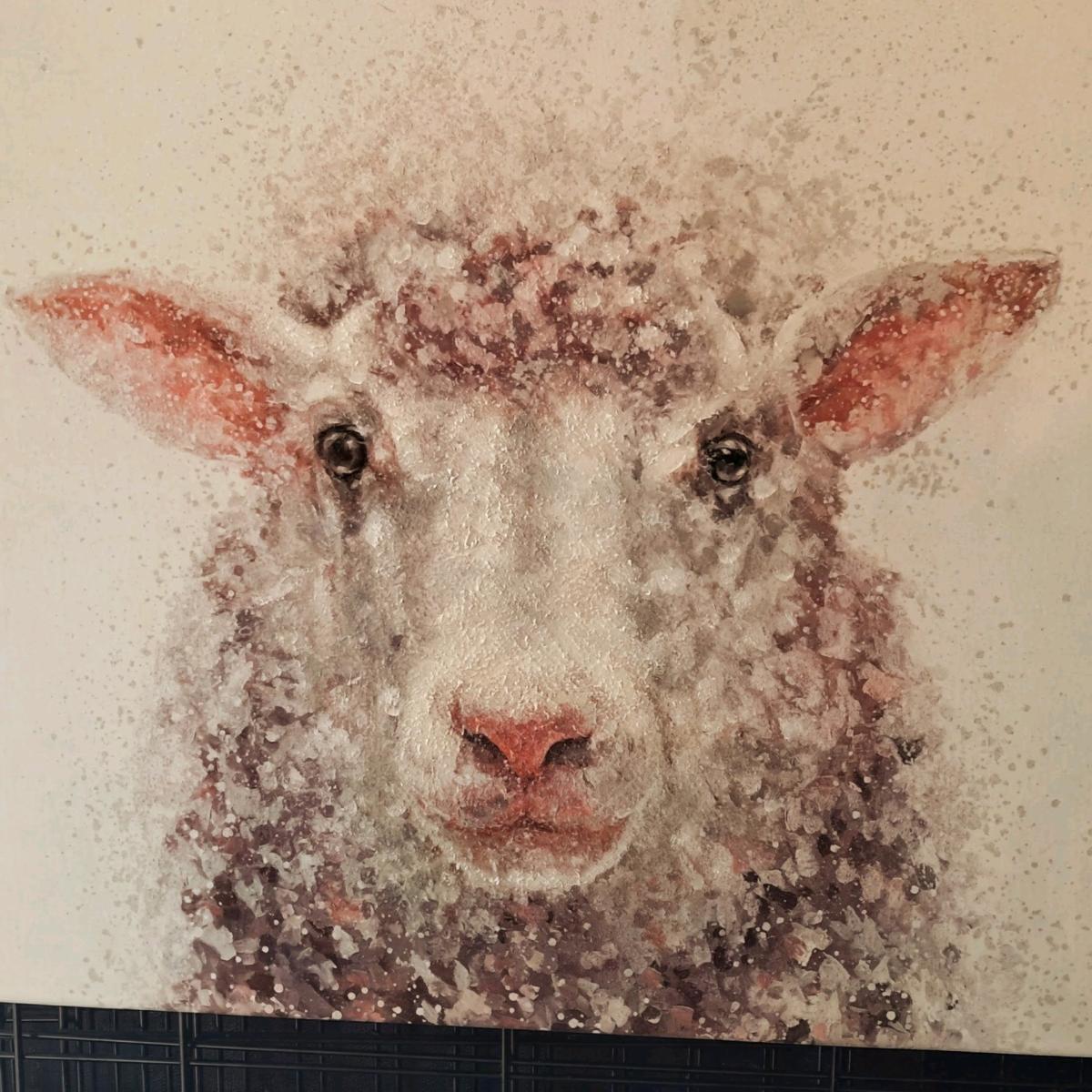 Baa baa Sheep - Bel Air, Maryland - FleaMarketBay