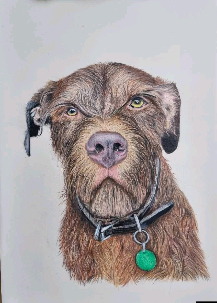 custom pets portraits - Austin, Texas - FleaMarketBay
