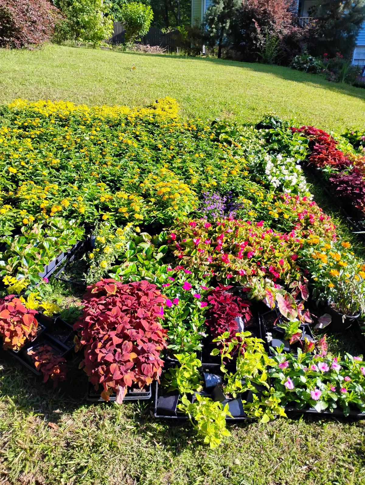 Seasonal Flats 18 per flat Mix and Match - Acworth, Georgia - FleaMarketBay