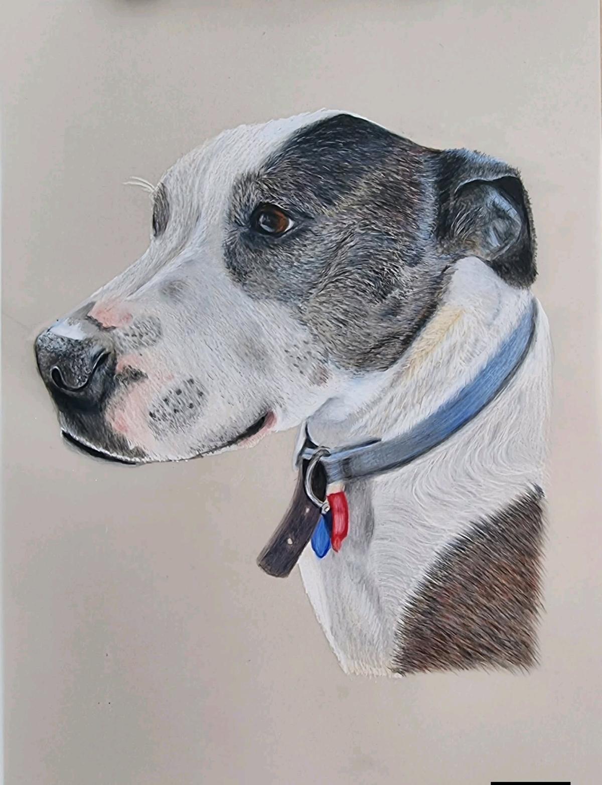 custom pets portraits - Austin, Texas - FleaMarketBay