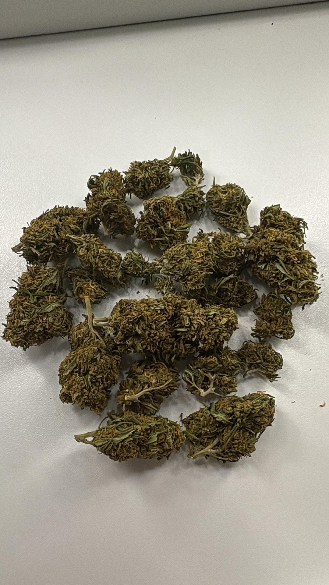 lmk I got seeds and all that just hmu - Bakersfield, California - FleaMarketBay
