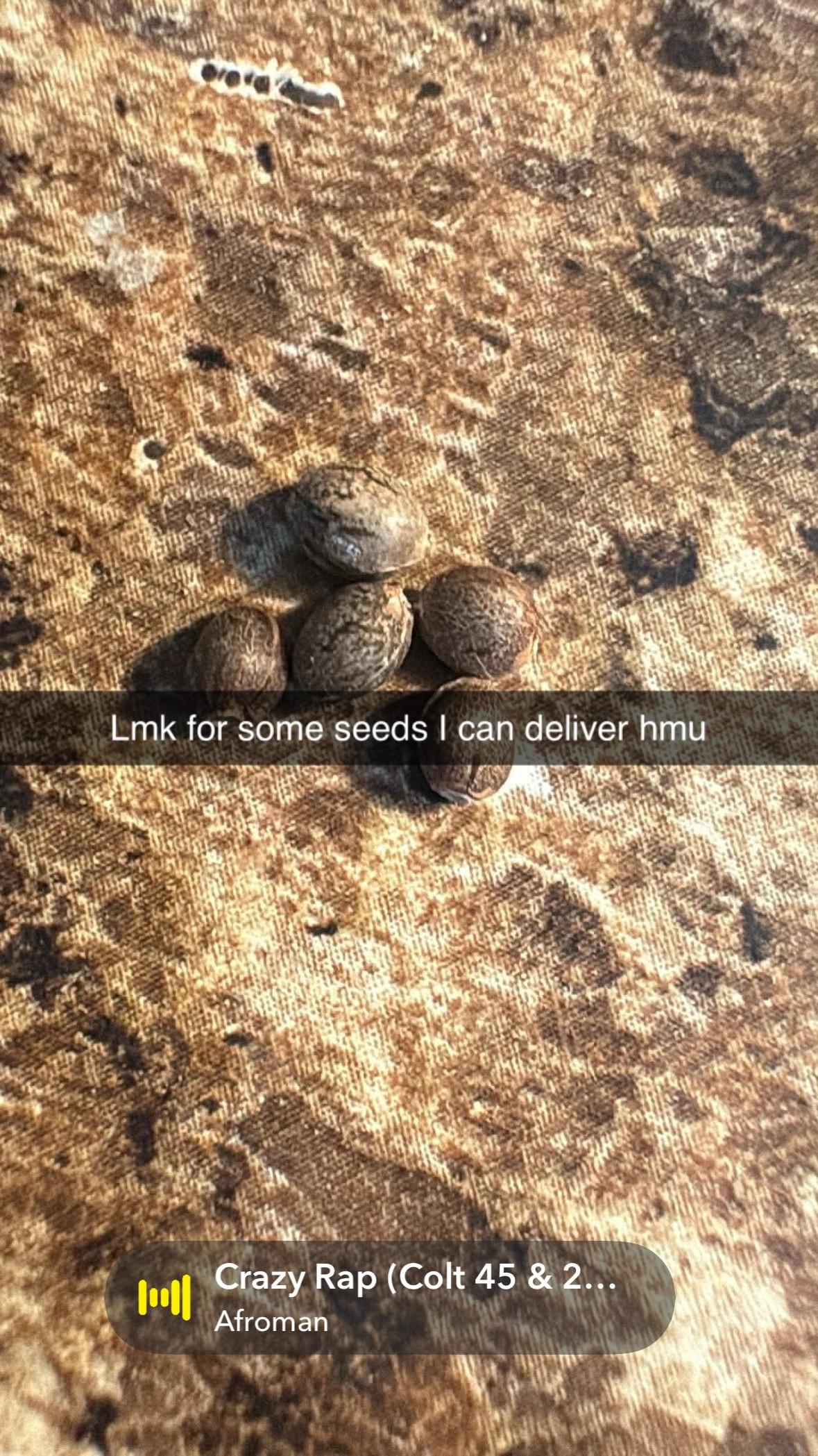 lmk I got seeds and all that just hmu - Bakersfield, California - FleaMarketBay