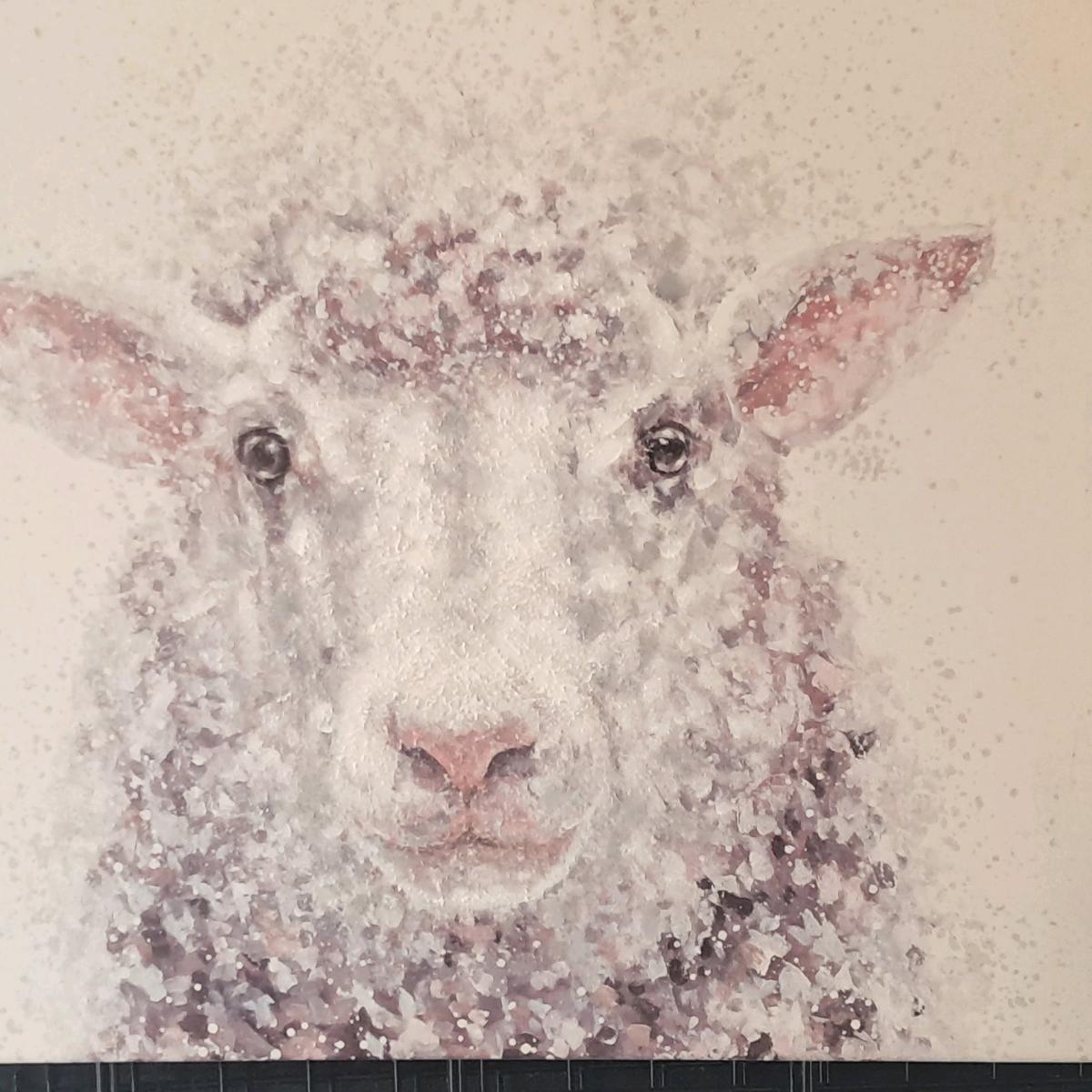 Baa baa Sheep - Bel Air, Maryland - FleaMarketBay