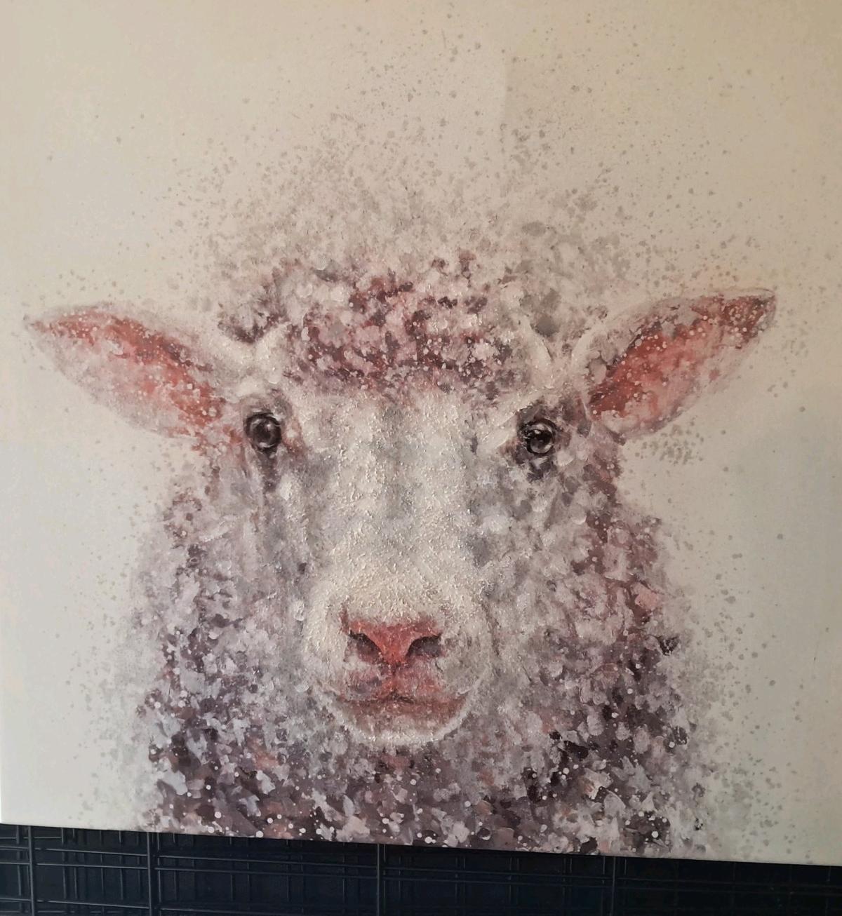 Baa baa Sheep - Bel Air, Maryland - FleaMarketBay