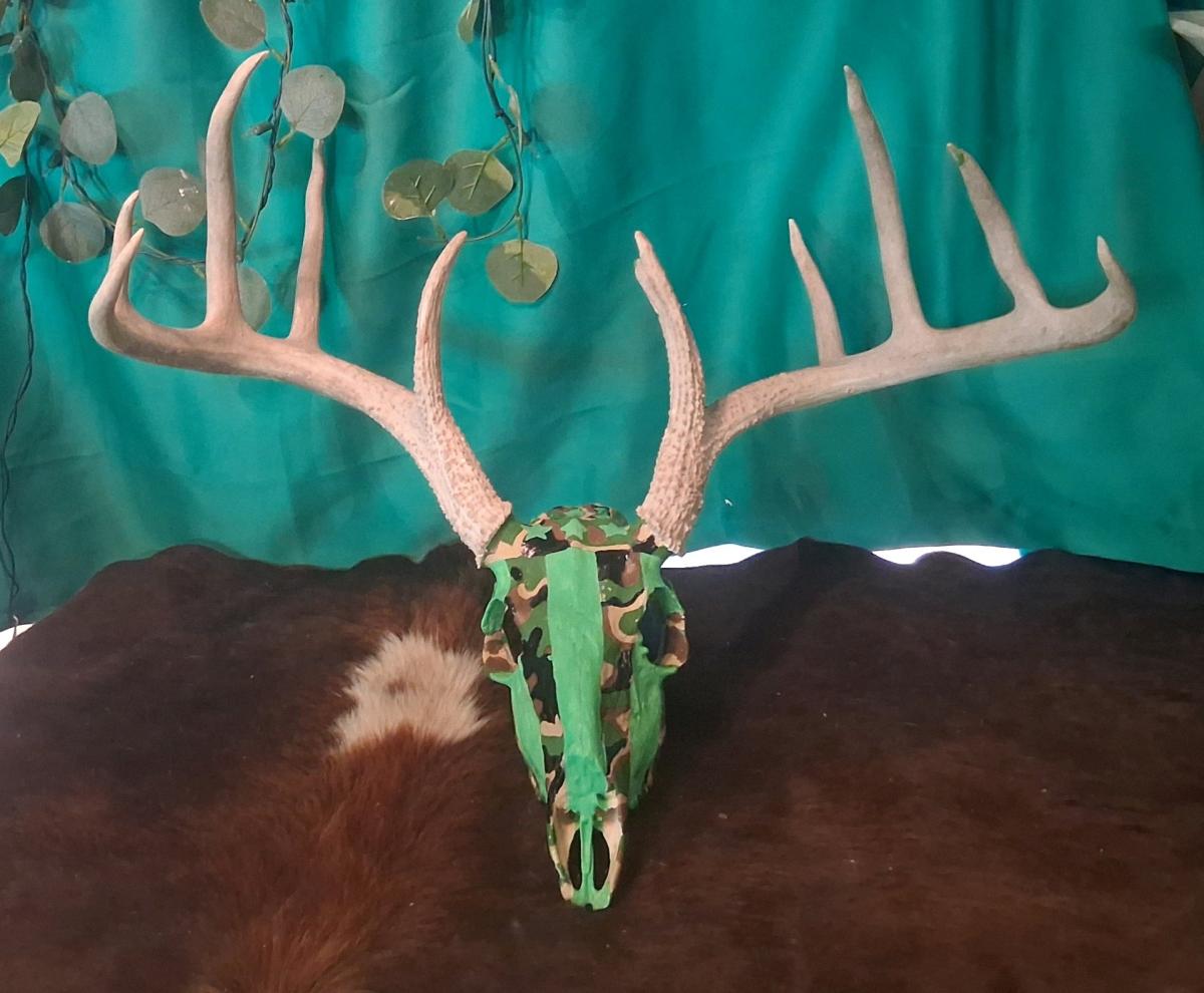 camouflage flag on dear skull - Floresville, Texas - FleaMarketBay
