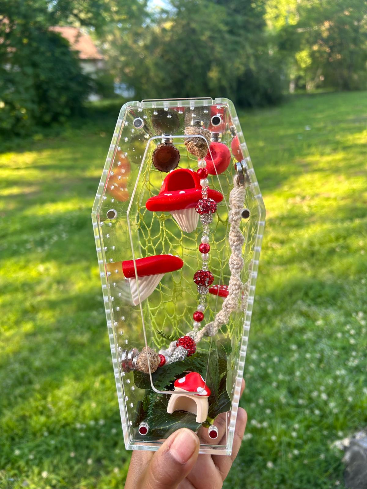 MushRoom Jumping Spider Enclosure Kit - Acworth, Georgia - FleaMarketBay