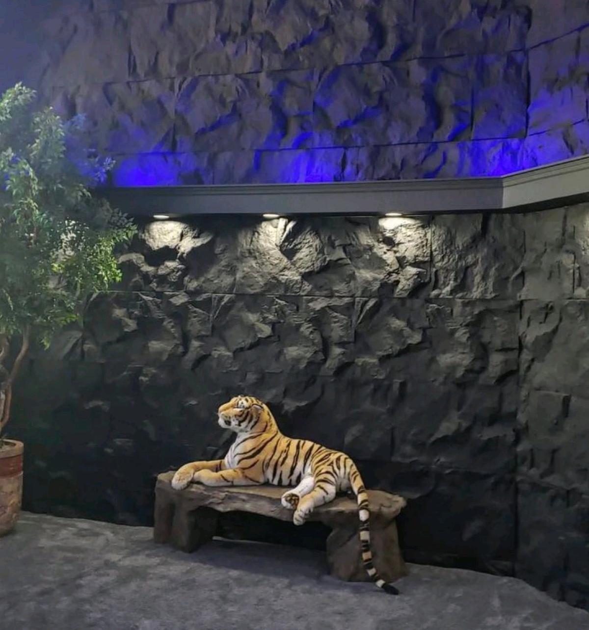 Luxury Faux Stone Wall Panels  Premium Accent Walls - Altamonte Springs, Florida - FleaMarketBay