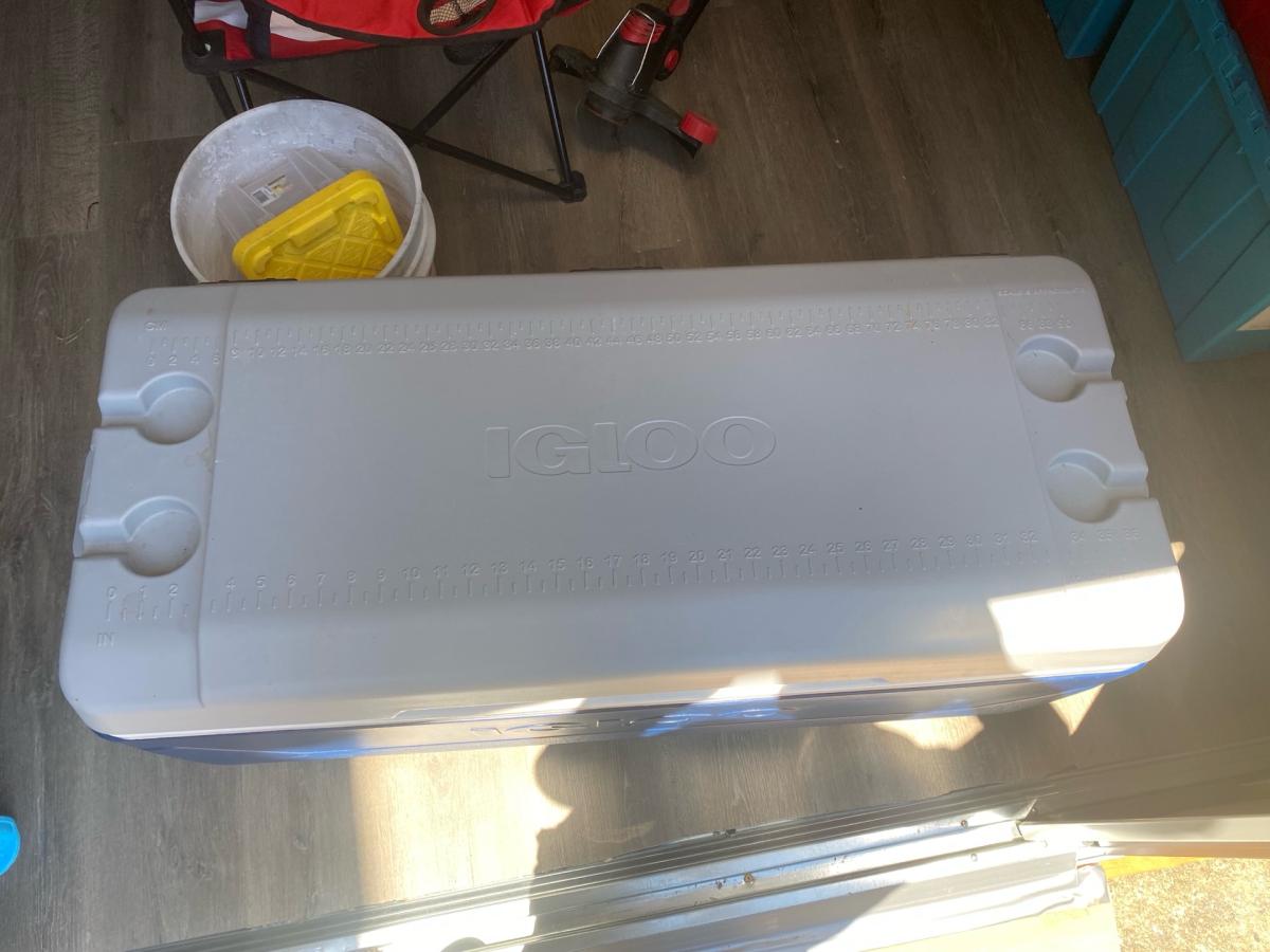Large Igloo Cooler Blue and White - Philadelphia, Pennsylvania - FleaMarketBay