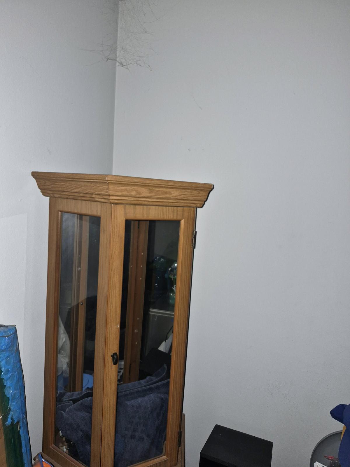 Corner China Cabinet with Glass Shelves - Newark, Delaware - FleaMarketBay