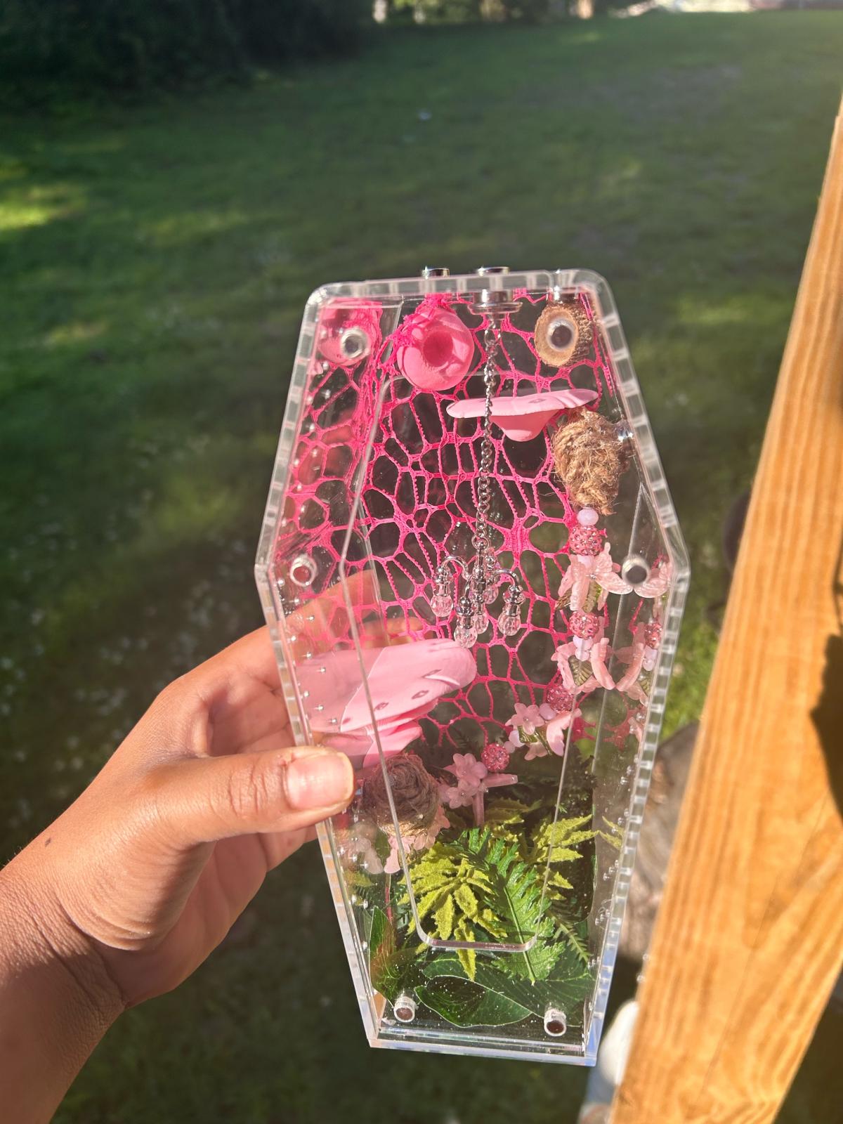 Pink Jumping spider Enclosure - Acworth, Georgia - FleaMarketBay