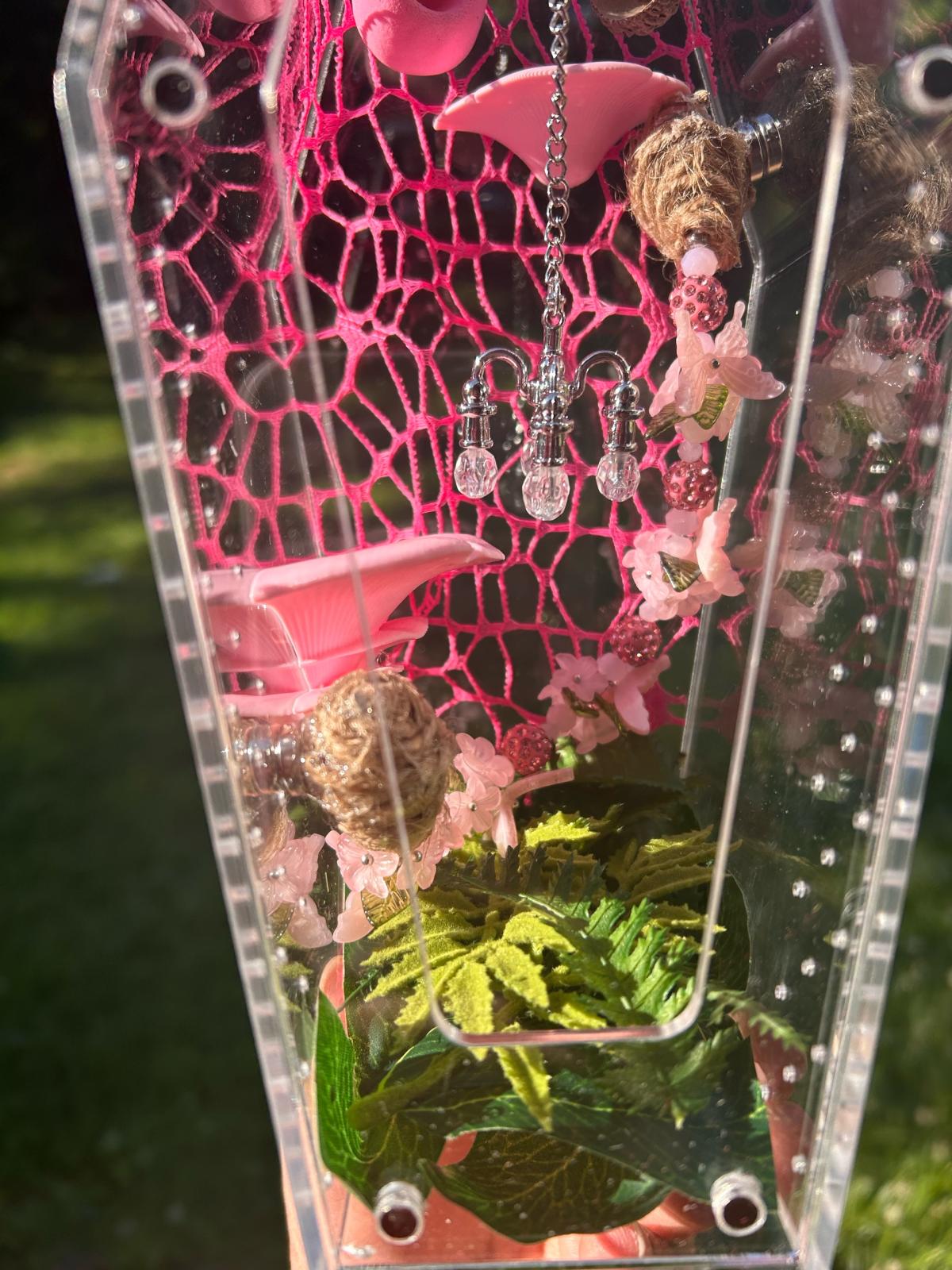 Pink Jumping spider Enclosure - Acworth, Georgia - FleaMarketBay
