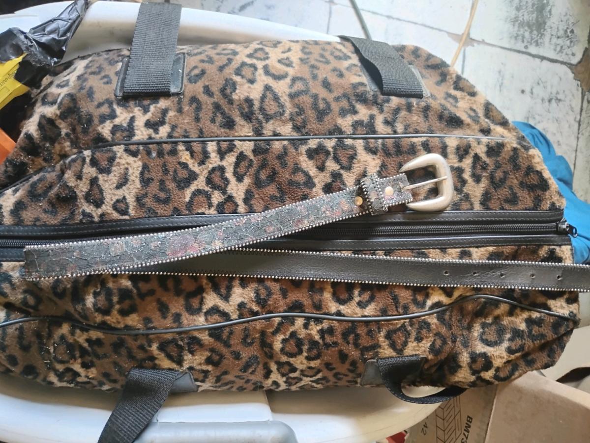 A Nice Small Glittery Belt - Swansea, South Carolina - FleaMarketBay